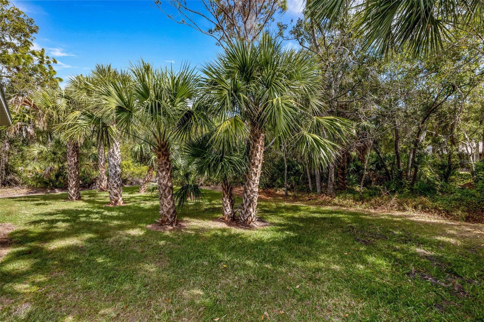 Image 45 of 46 For 1183 Cedar Avenue