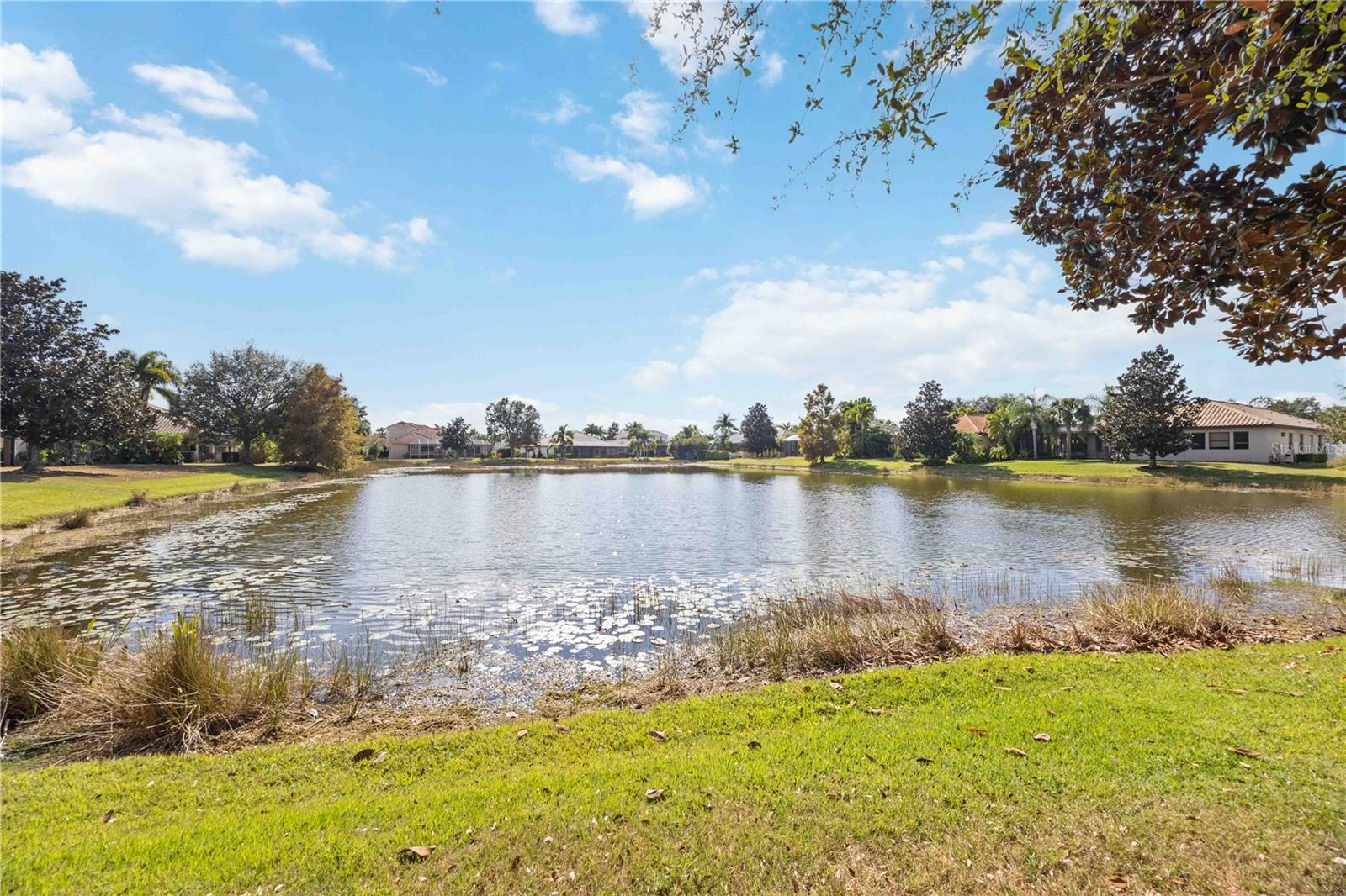 Image 81 of 95 For 14806 Bowfin Terrace