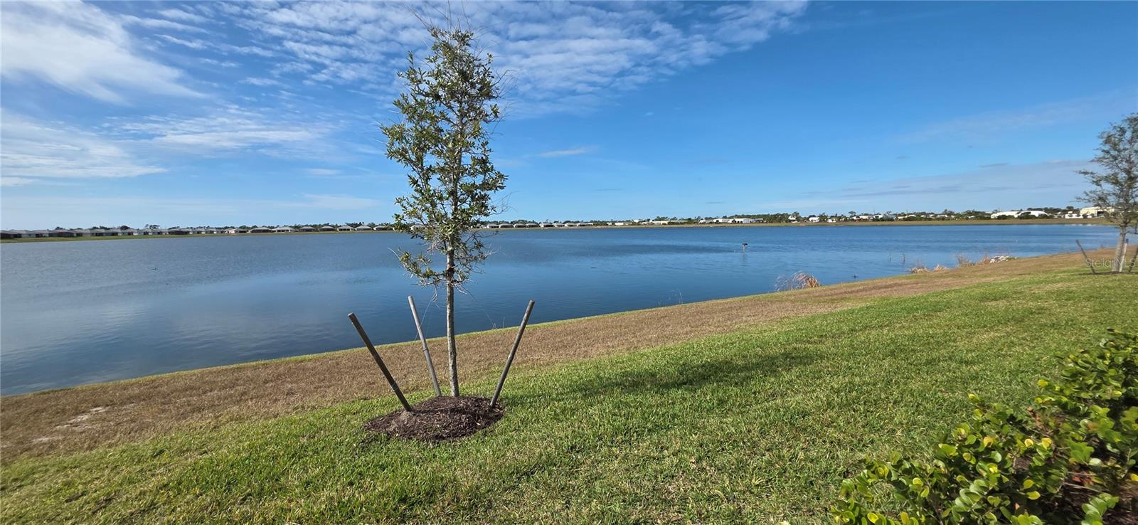 Image 3 of 24 For 8140 Shore Lake Drive