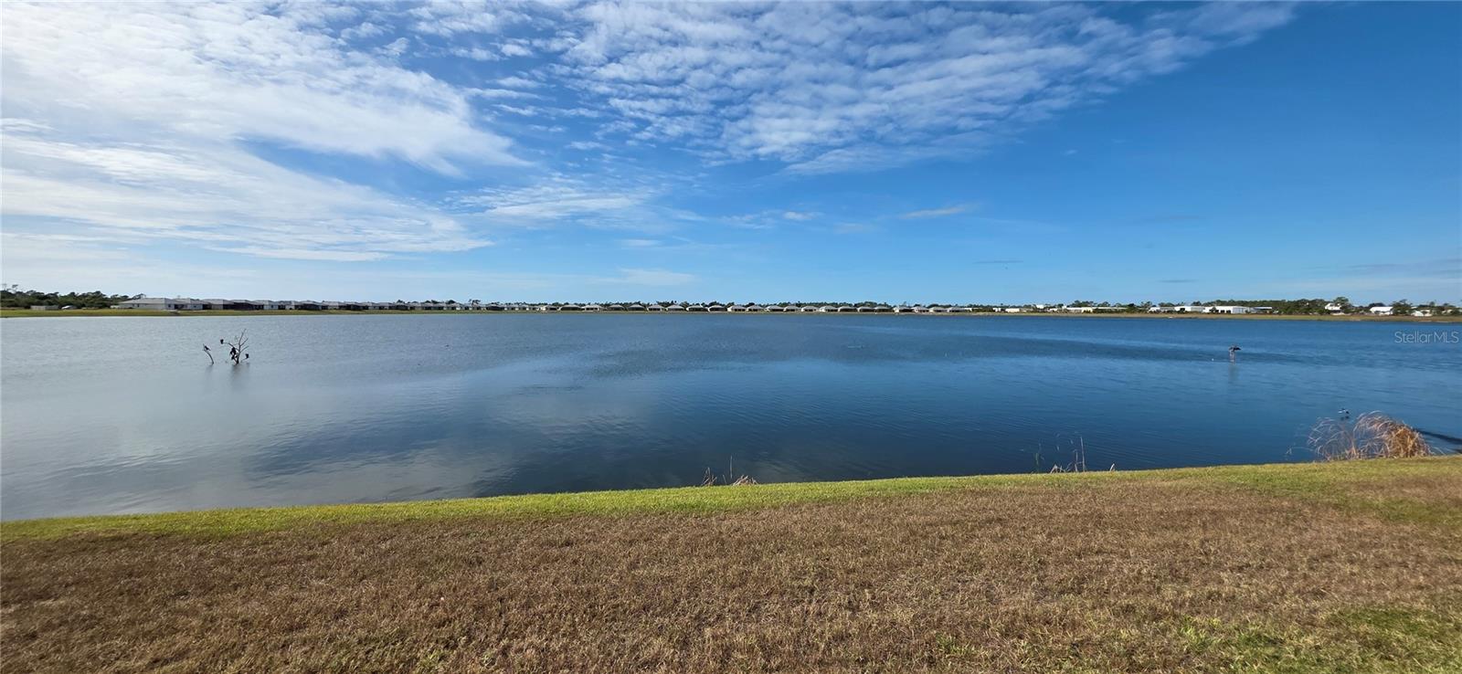 Image 4 of 24 For 8140 Shore Lake Drive