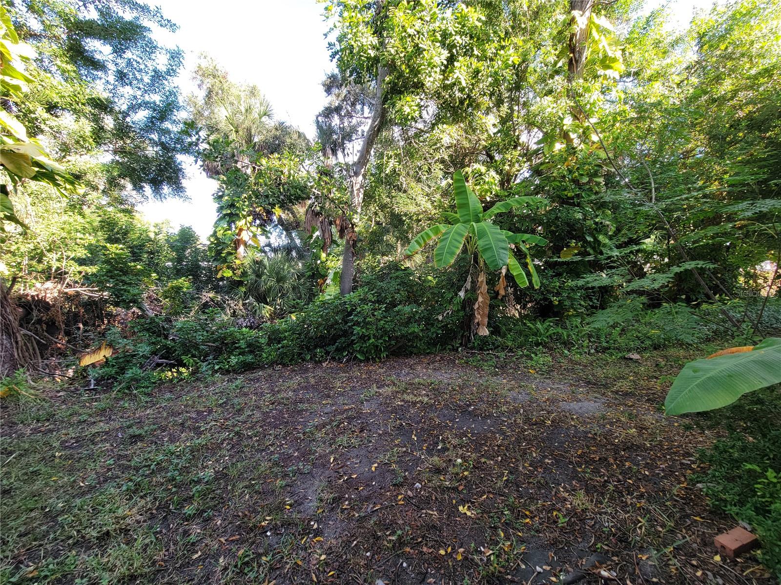 Image 16 of 24 For 2009 Canal Drive N4