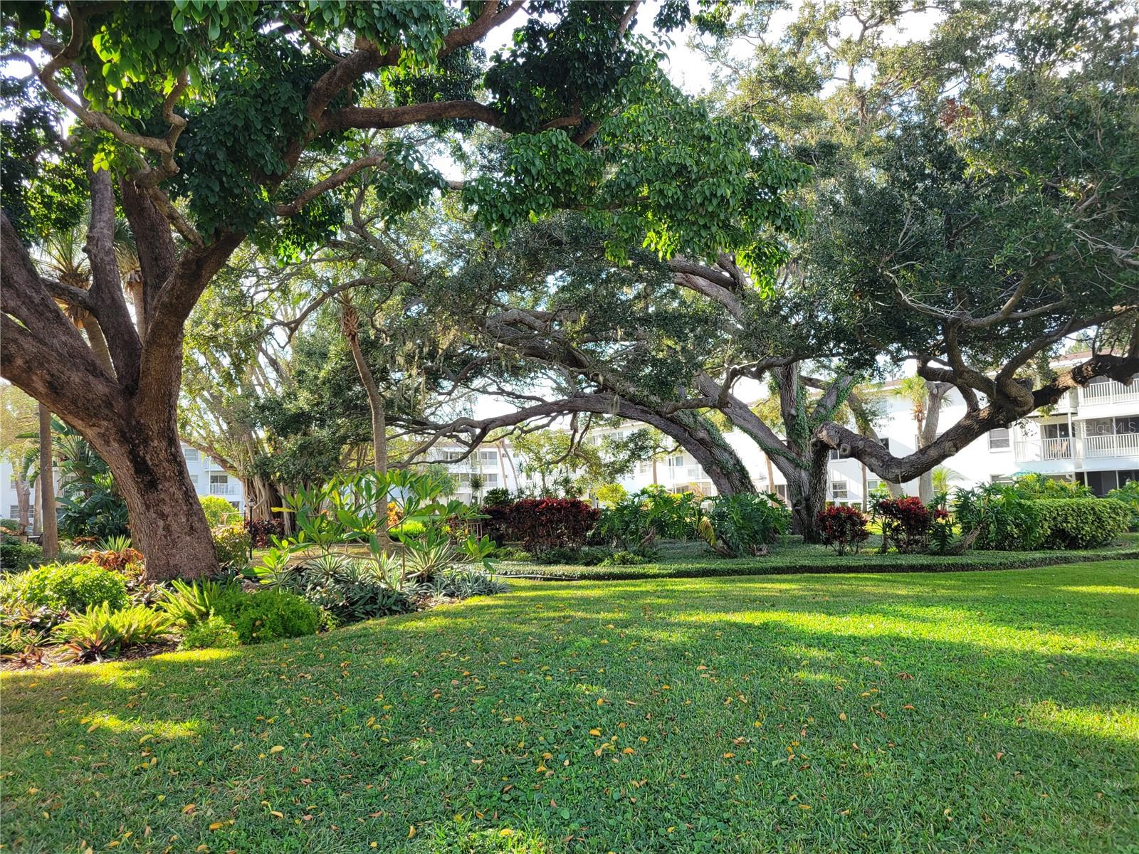 Image 24 of 24 For 2009 Canal Drive N4