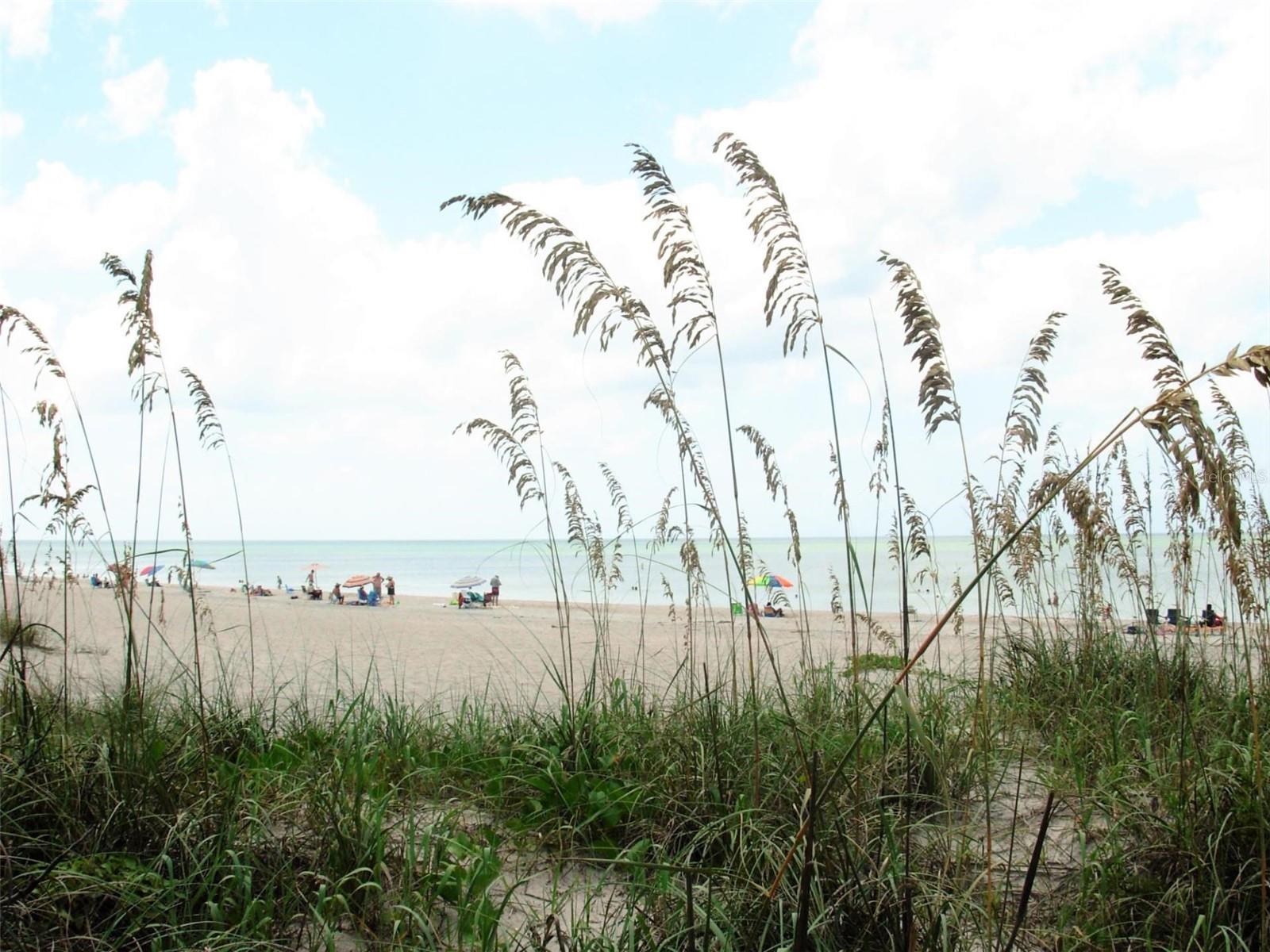 Image 51 of 60 For 29176 Coral Harbour Drive