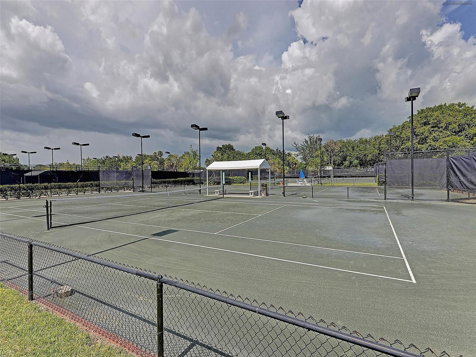 Image 64 of 78 For 729 Brightside Crescent Drive 33