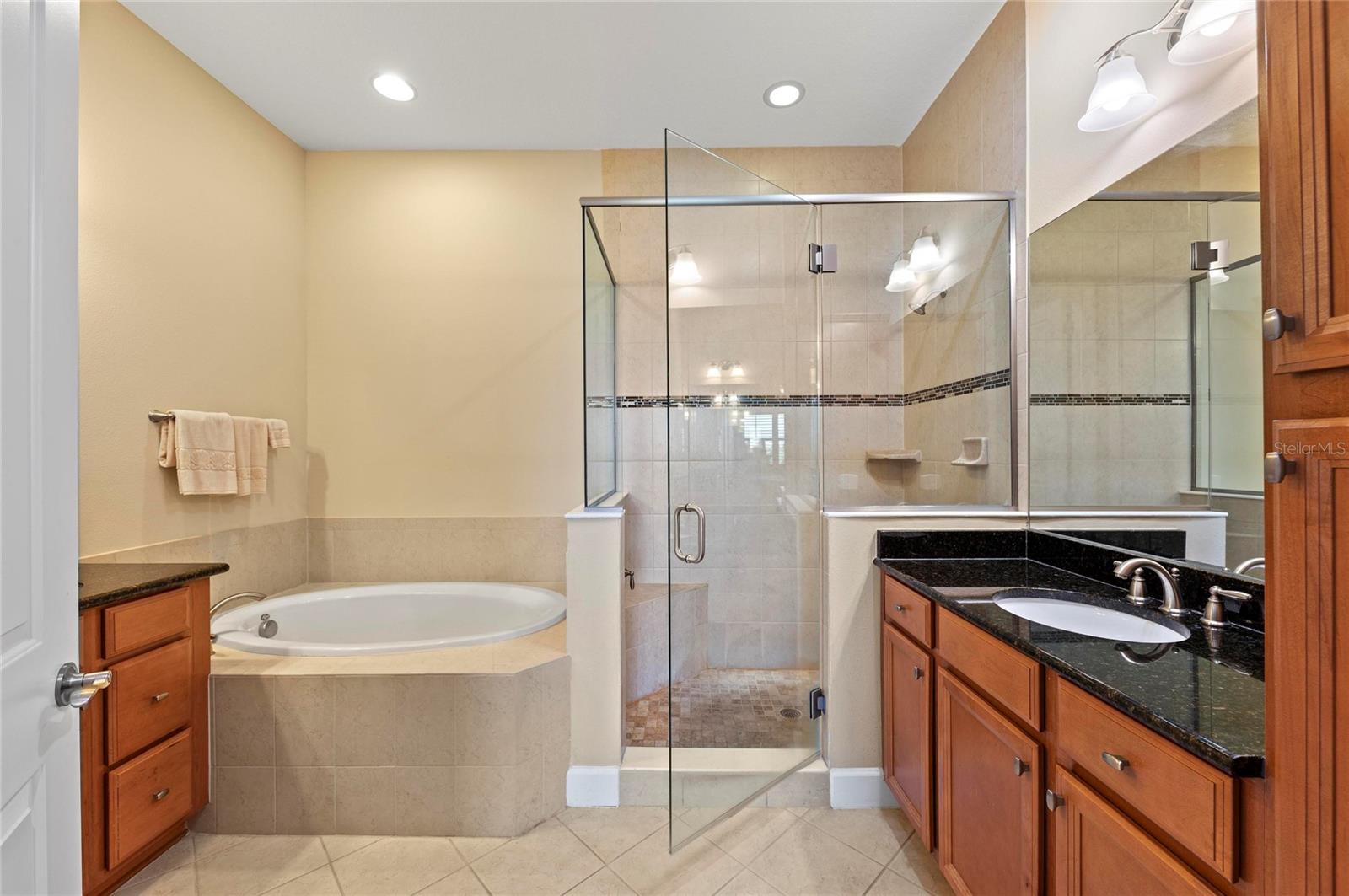 Image 40 of 100 For 266 Sapphire Lake Drive 202