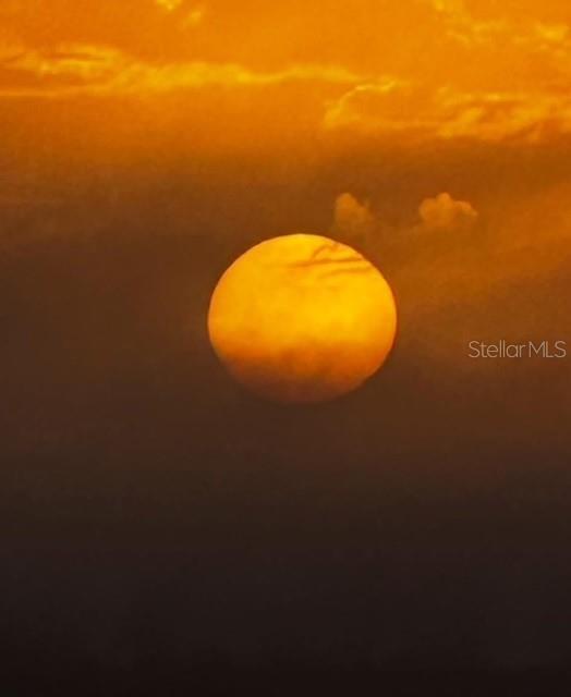 Image 47 of 49 For 10315 Cortez Rd W  1b