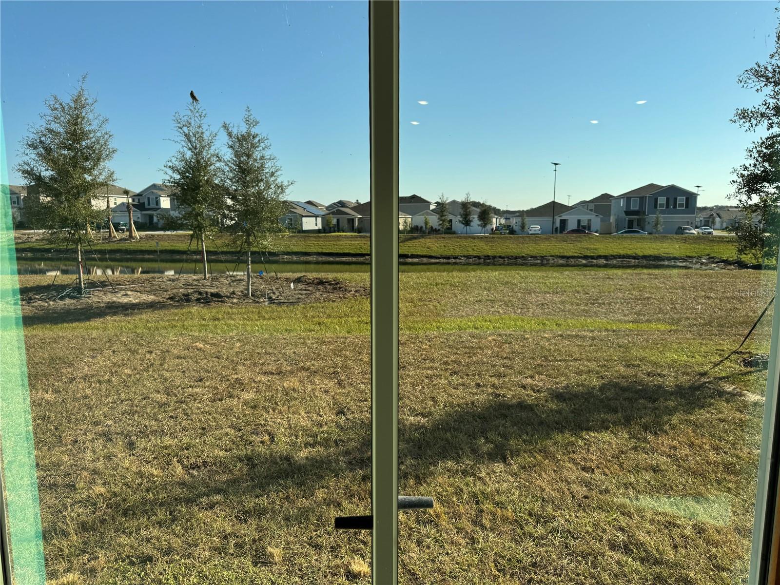 Image 23 of 38 For 2061 Lasso Loop