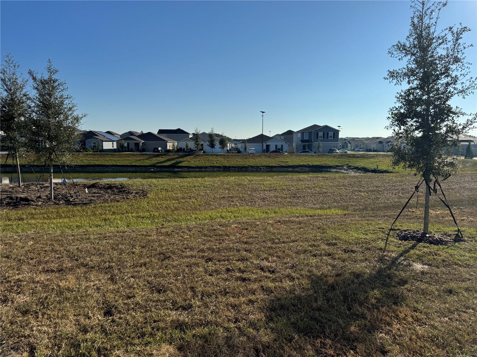 Image 25 of 38 For 2061 Lasso Loop