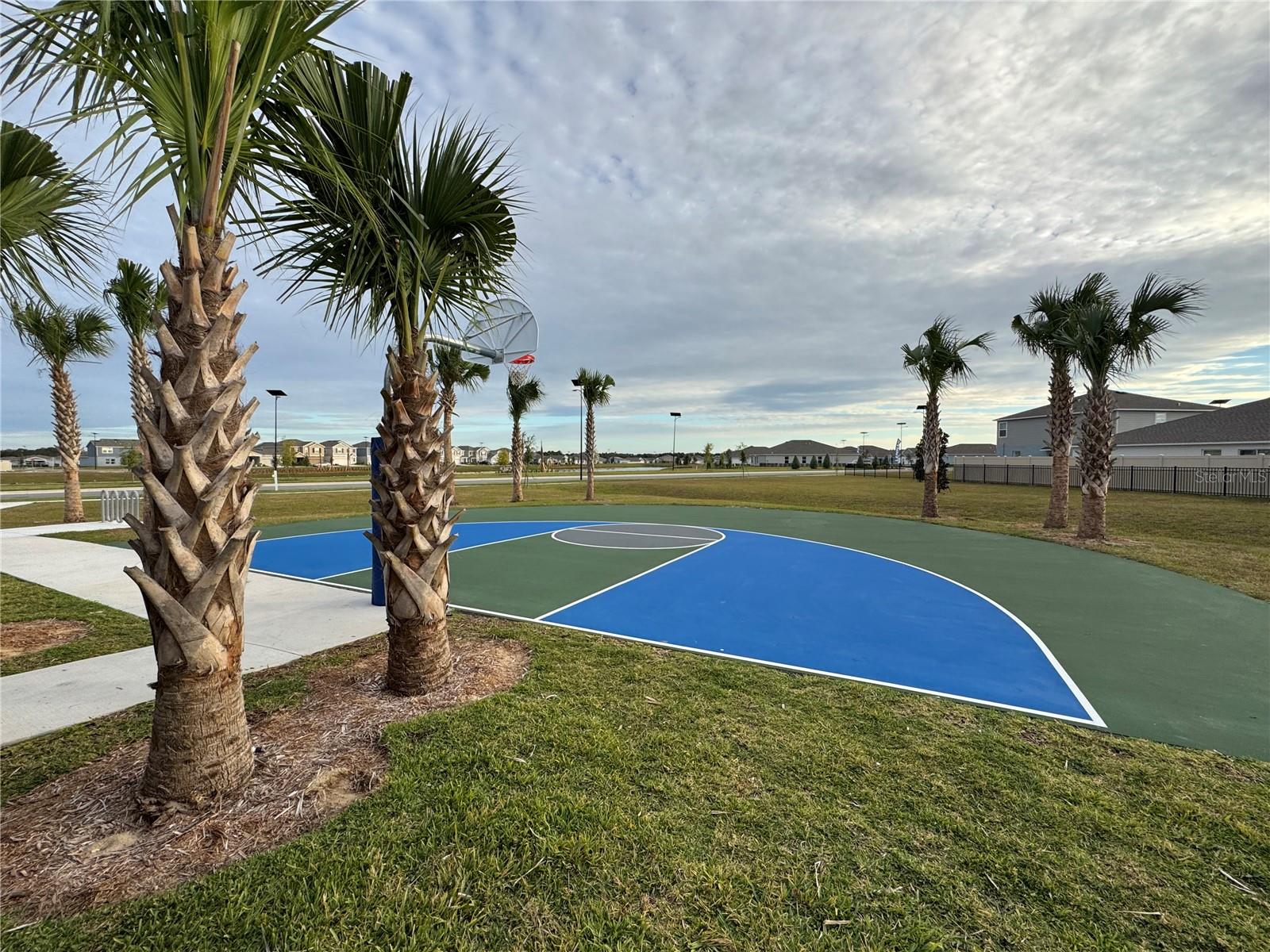 Image 29 of 38 For 2061 Lasso Loop