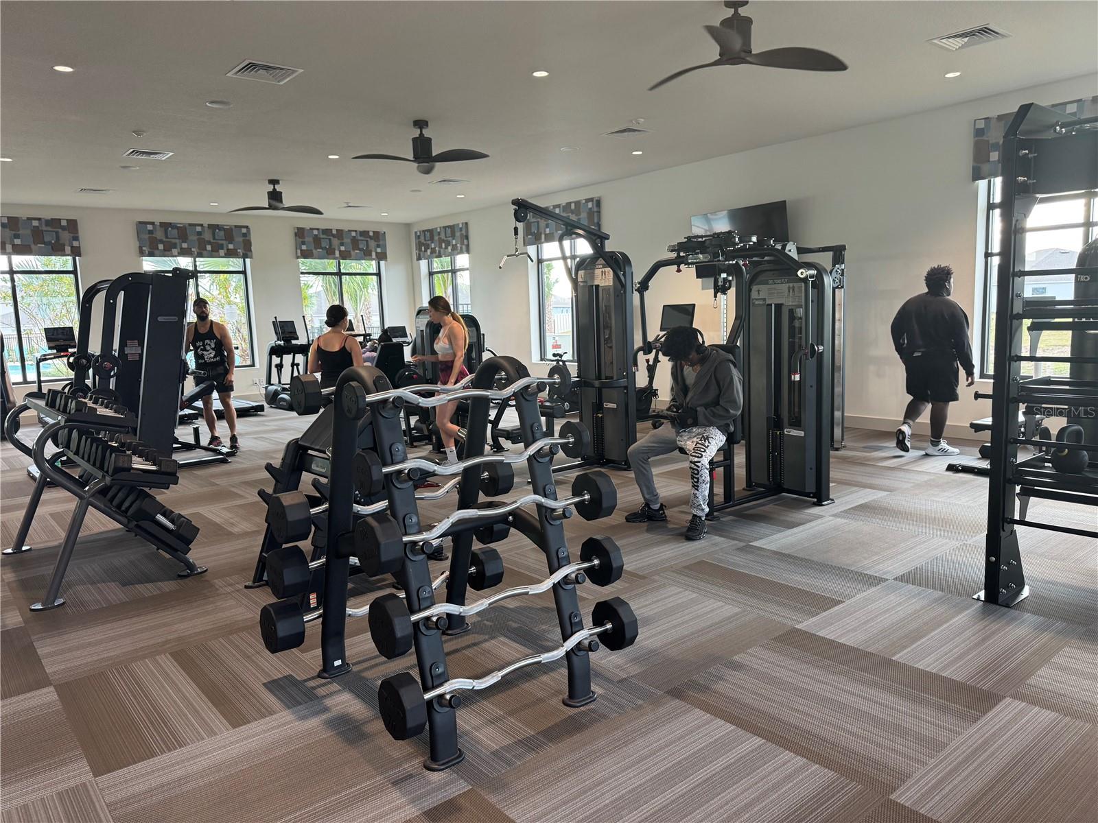 Image 32 of 38 For 2061 Lasso Loop