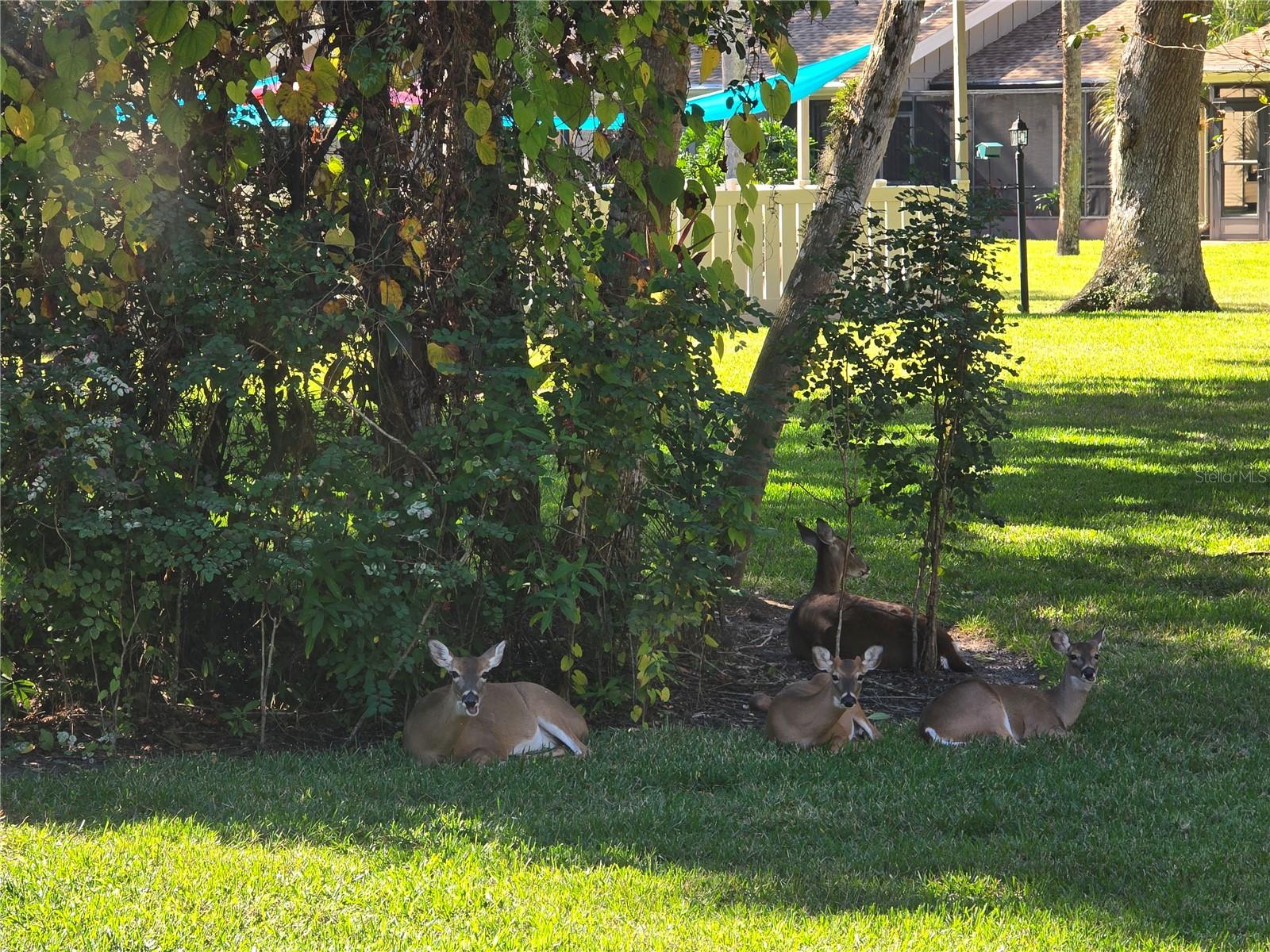 Image 27 of 32 For 4548 Forest Wood Trail 27