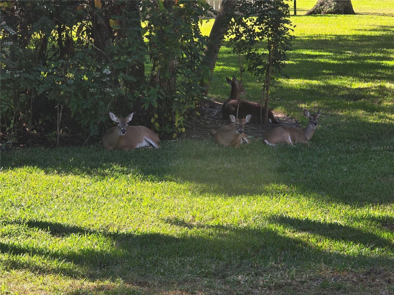 Image 28 of 32 For 4548 Forest Wood Trail 27