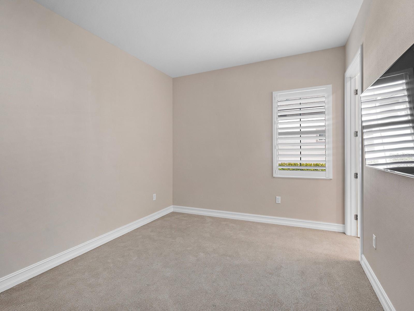 Image 41 of 81 For 508 Blue Shell Loop