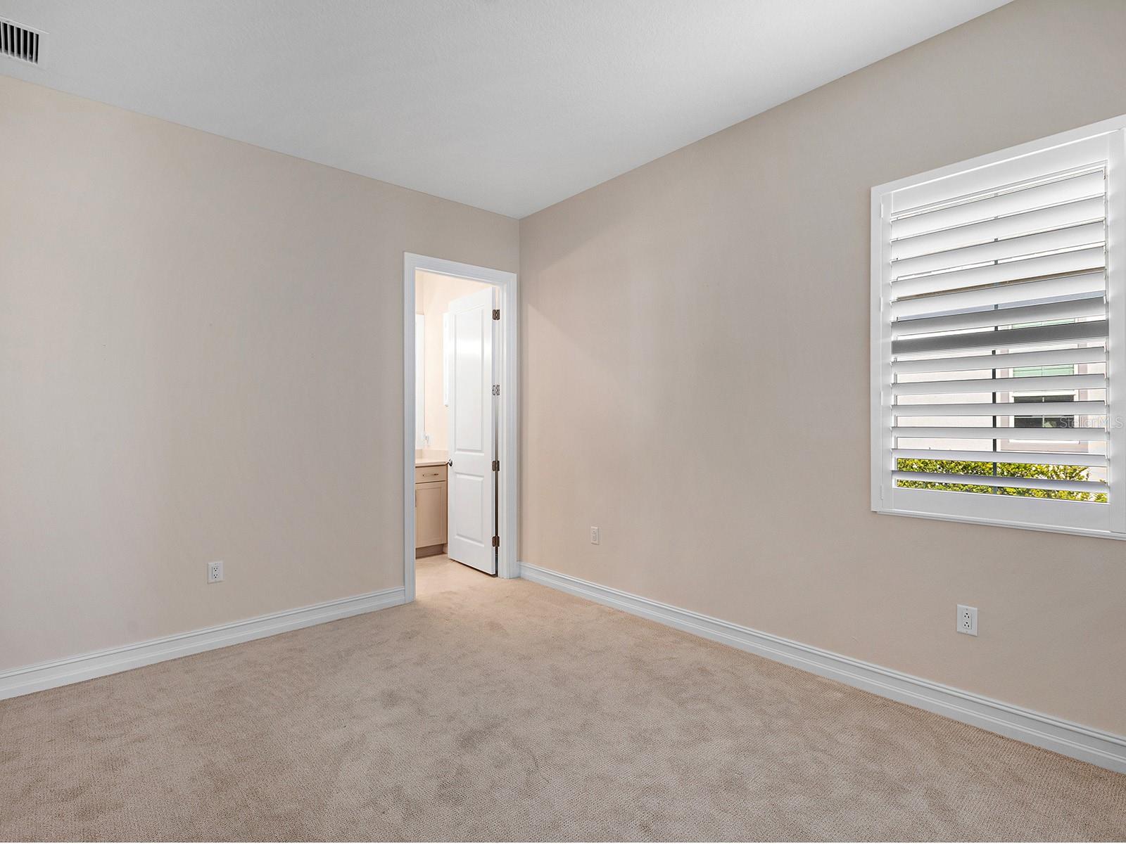 Image 43 of 81 For 508 Blue Shell Loop