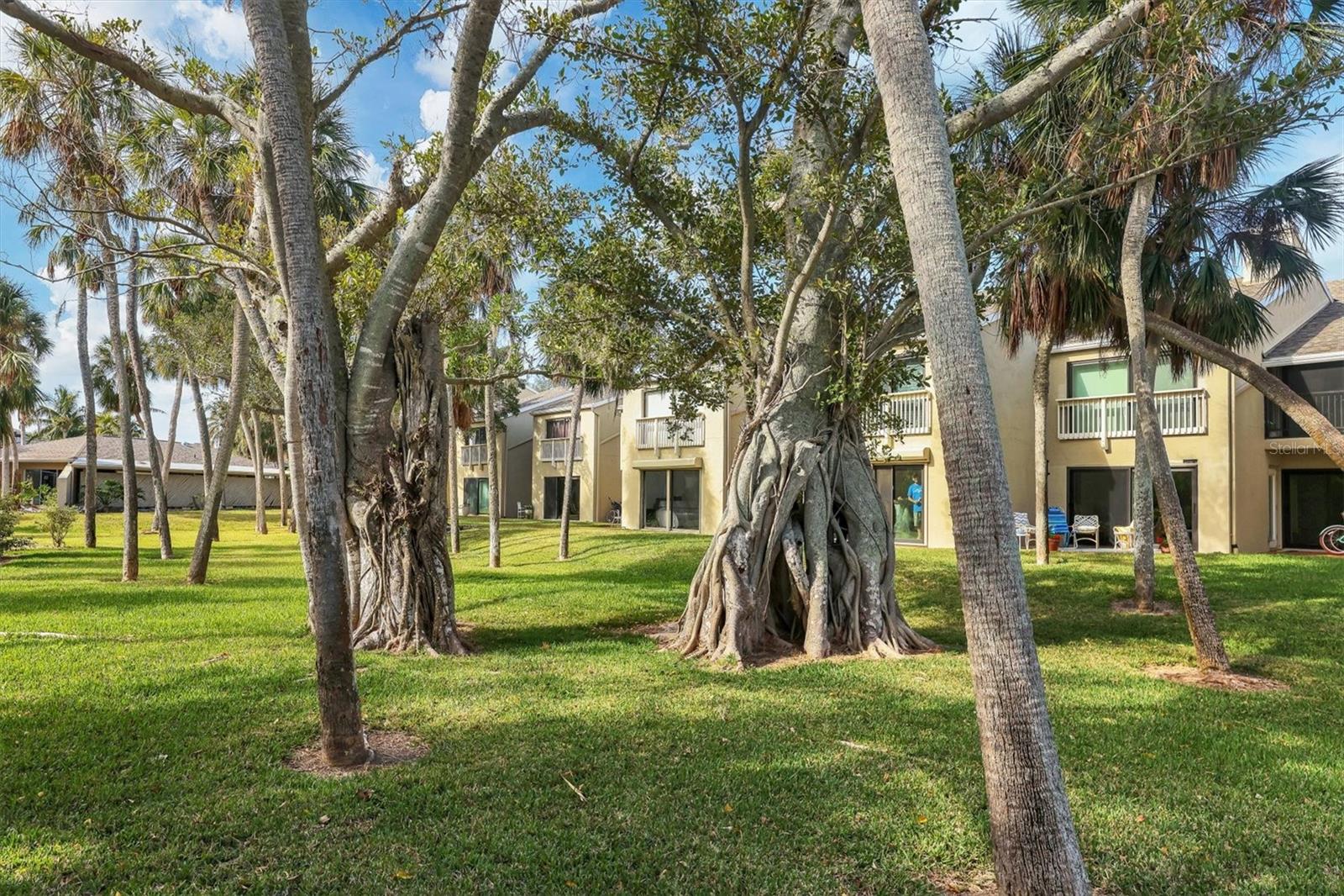 Image 39 of 61 For 5270 Gulf Of Mexico Drive 508