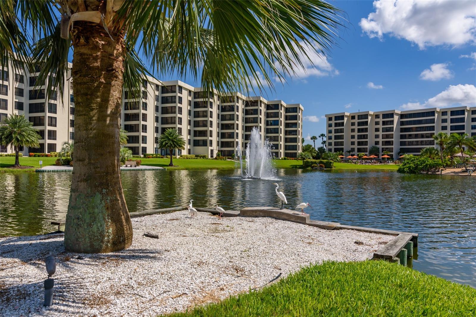 Image 42 of 58 For 5780 Midnight Pass Road 210