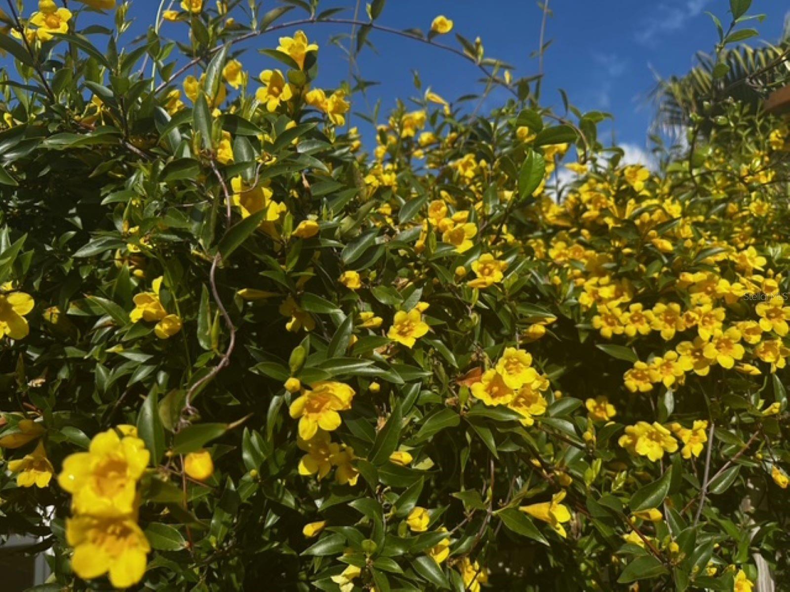 Image 28 of 42 For 4542 35th Avenue Circle E