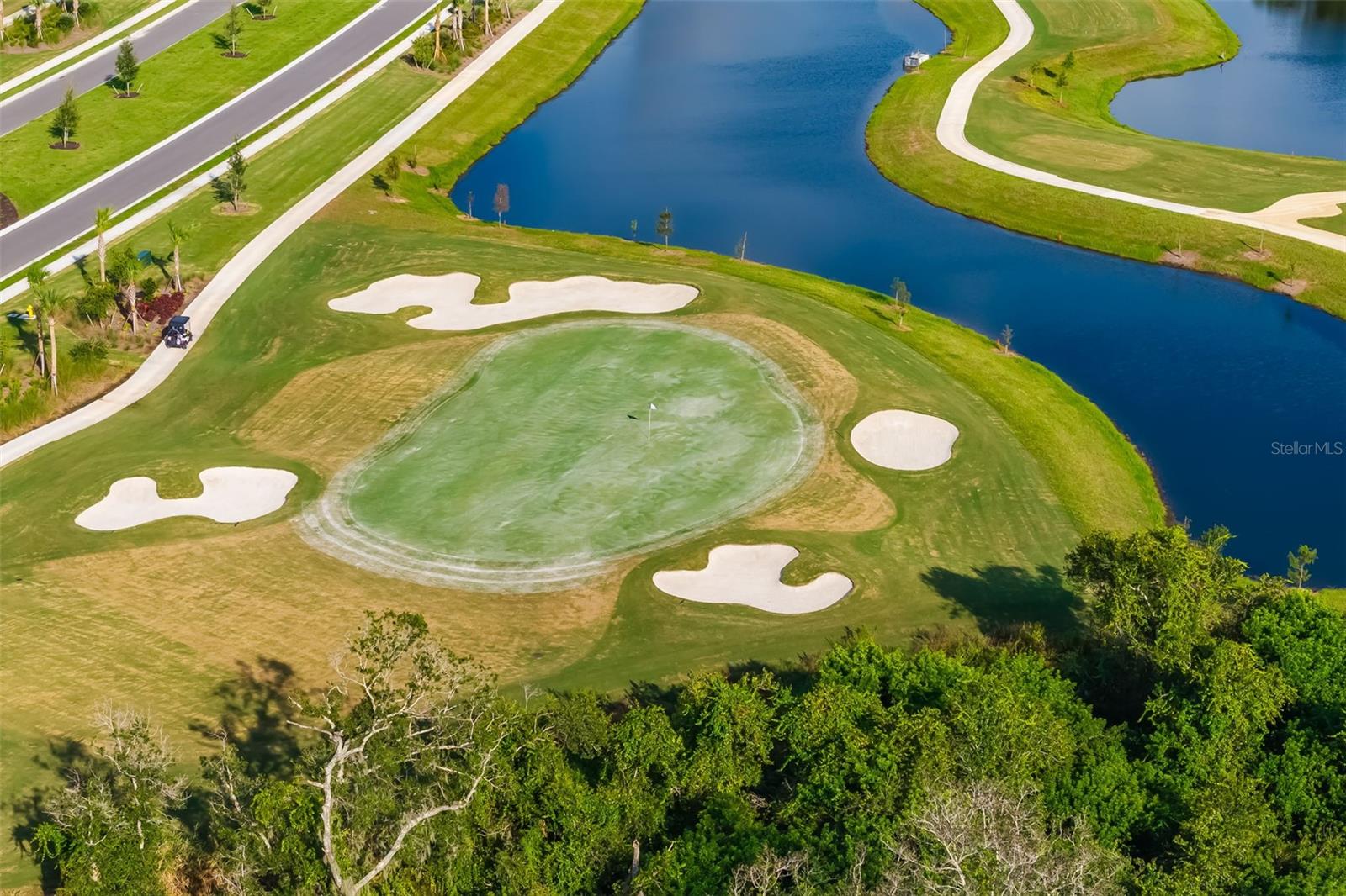 Image 52 of 56 For 19015 Scallop Loop #204