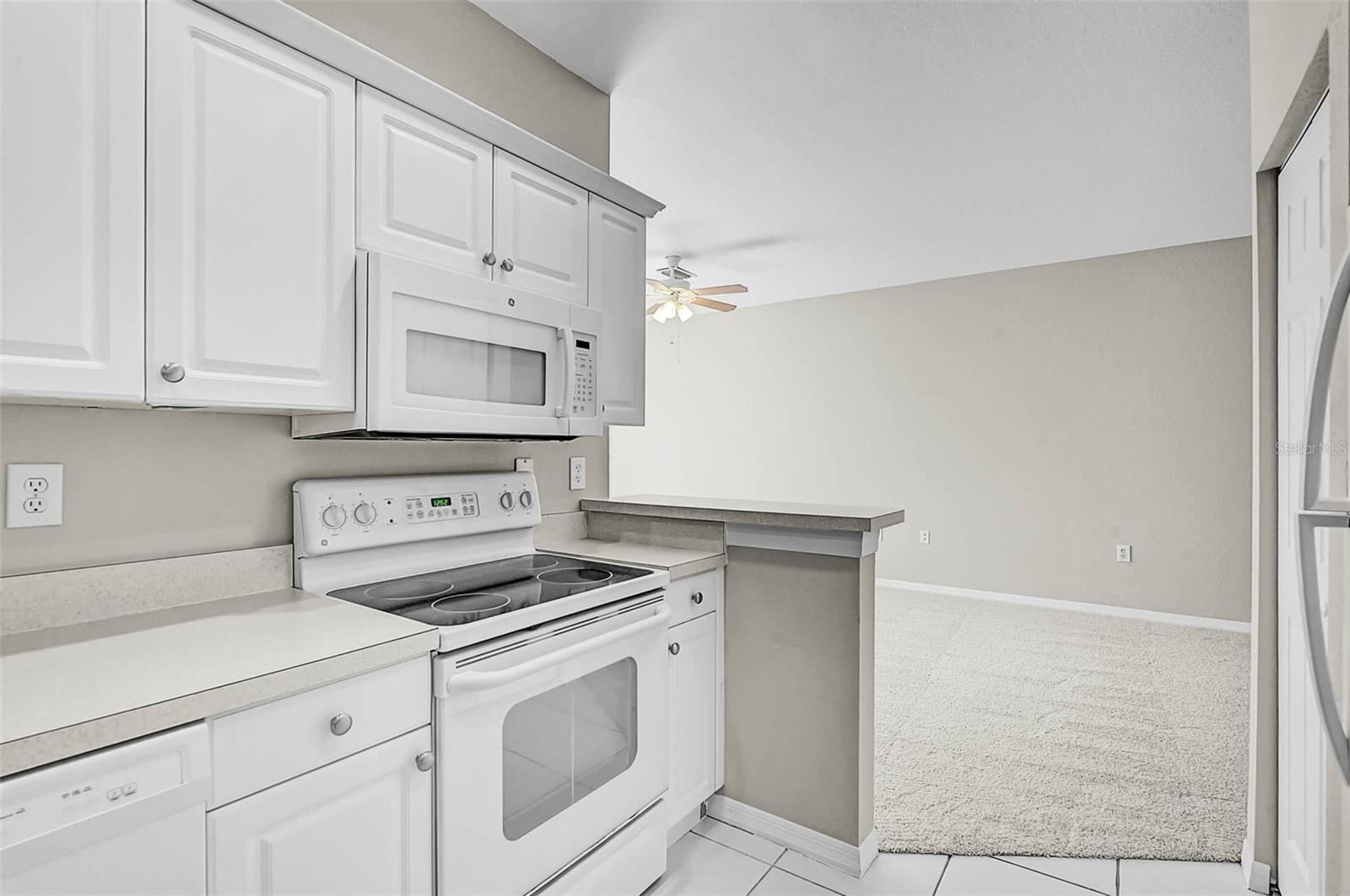 Image 16 of 39 For 3958 Mediterranea Circle 411