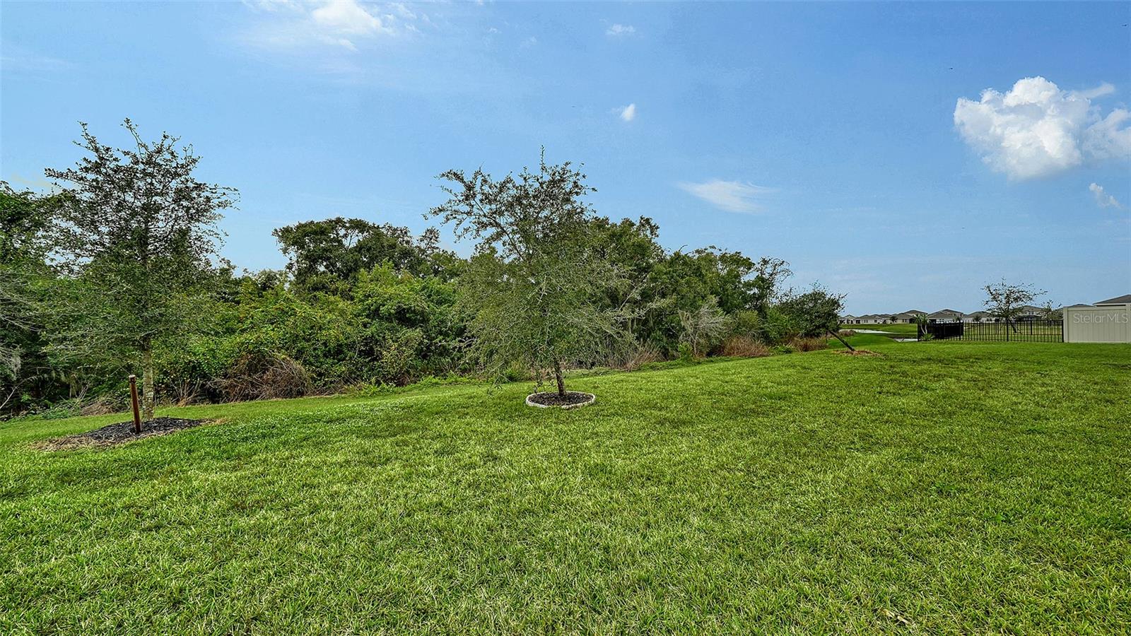 Image 28 of 31 For 17617 Cantarina Cove