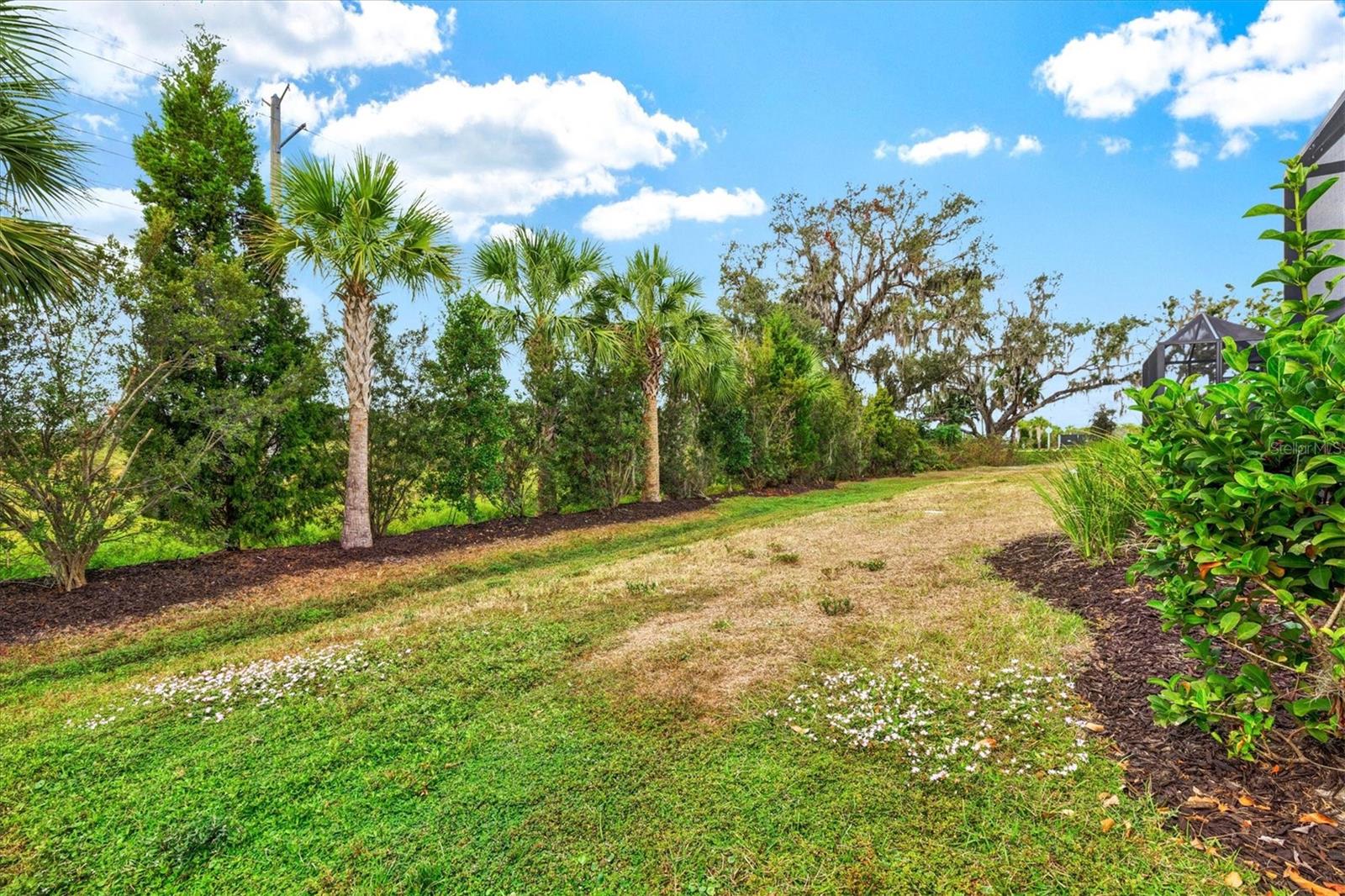 Image 43 of 65 For 2918 Butterfly Jasmine Trail