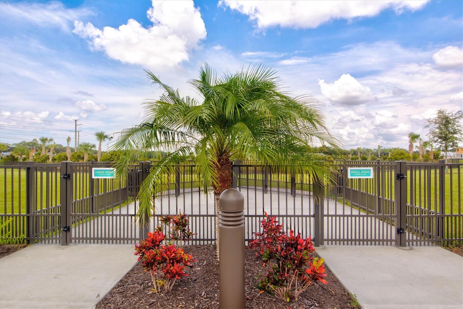 Image 52 of 65 For 2918 Butterfly Jasmine Trail