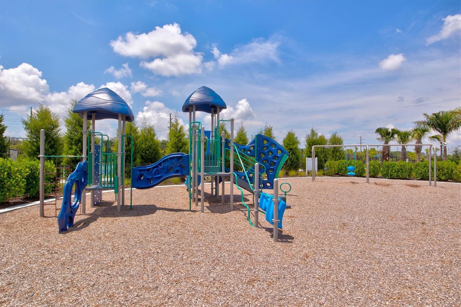 Image 53 of 65 For 2918 Butterfly Jasmine Trail