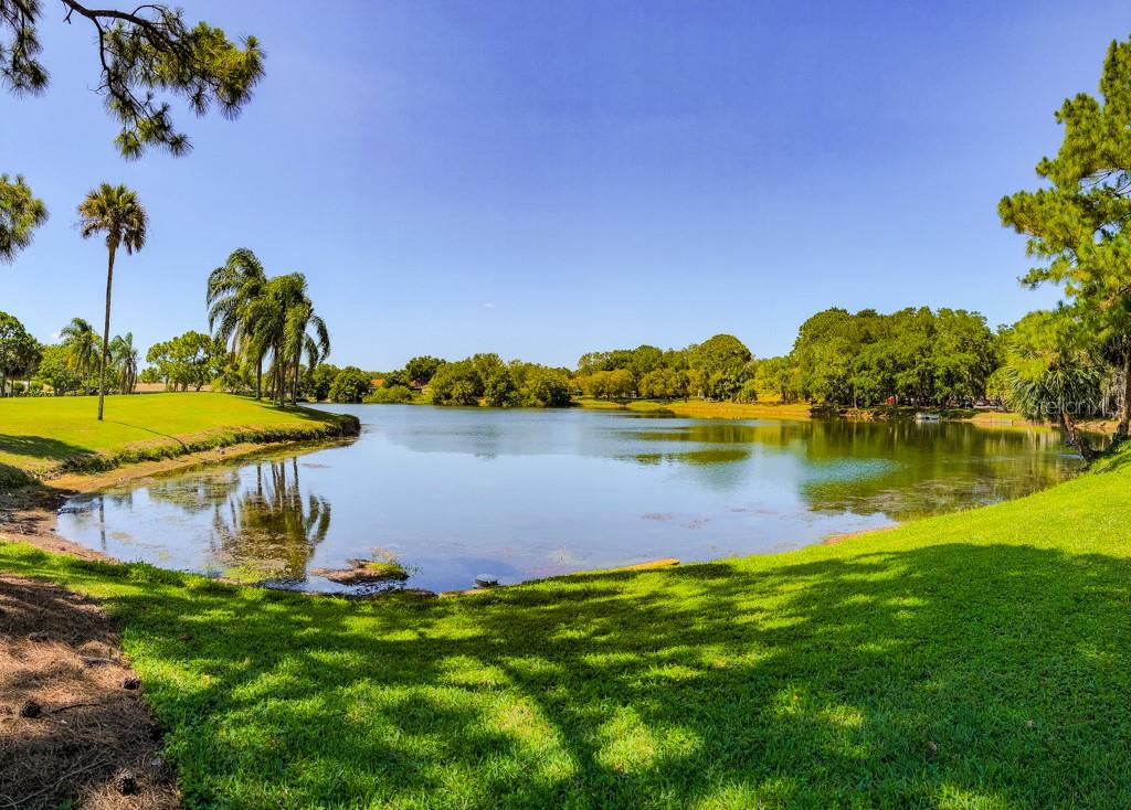 Image 49 of 54 For 4459 Oakley Greene 62