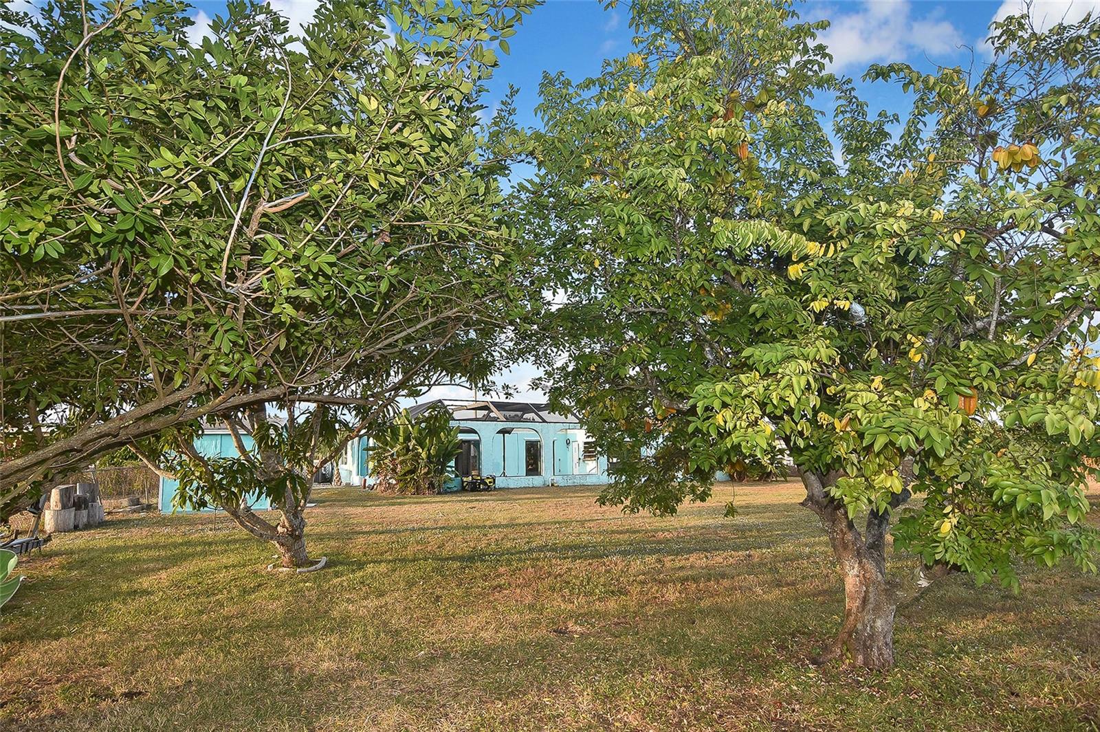 Image 23 of 25 For 6067 Merril Street