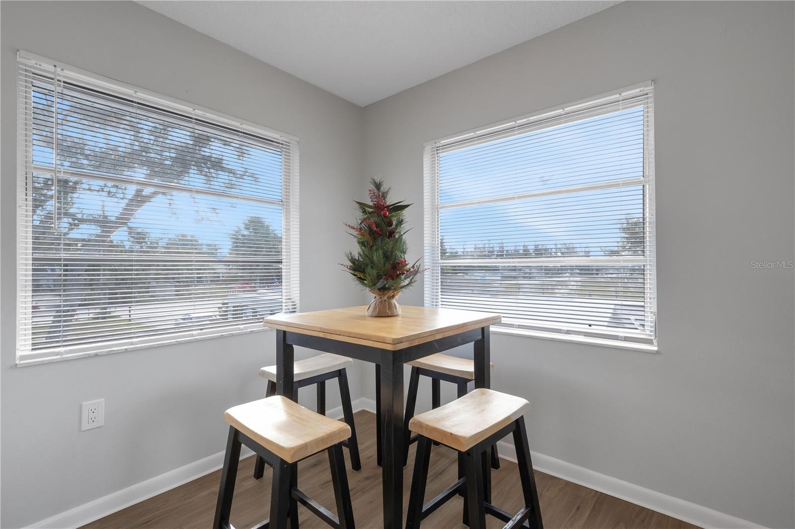 Image 12 of 48 For 210 Albee Road W