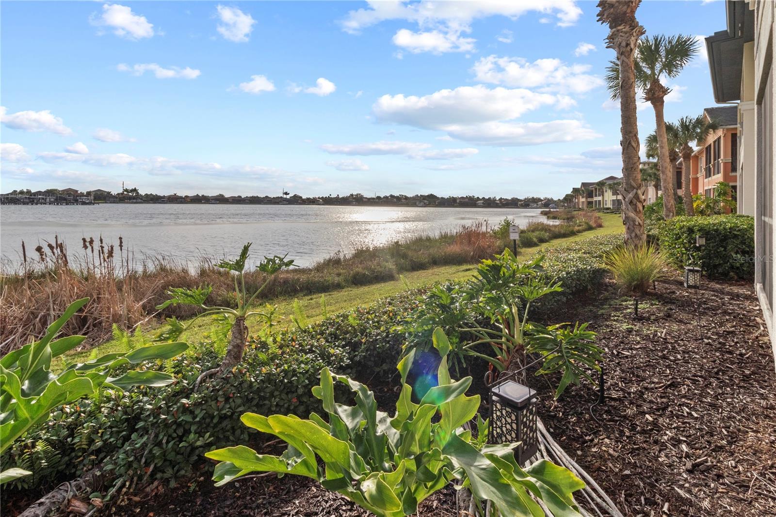 Image 31 of 59 For 1151 Riverscape Street