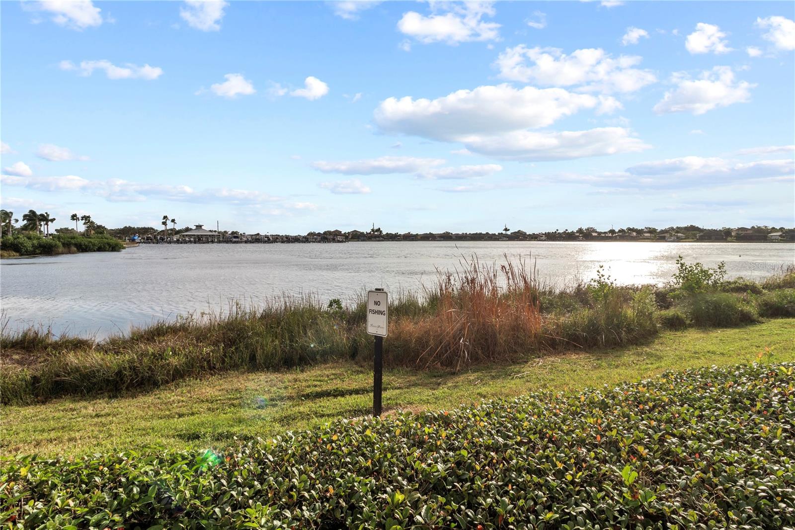 Image 53 of 59 For 1151 Riverscape Street