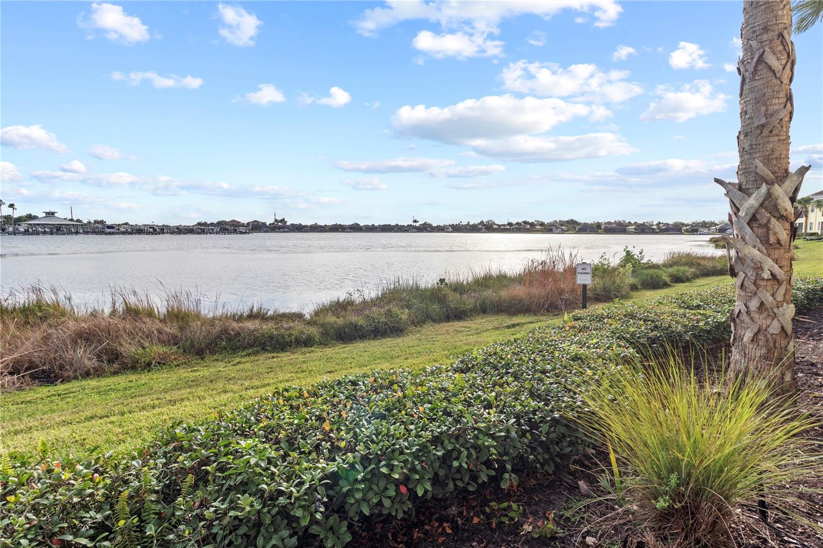 Image 8 of 59 For 1151 Riverscape Street