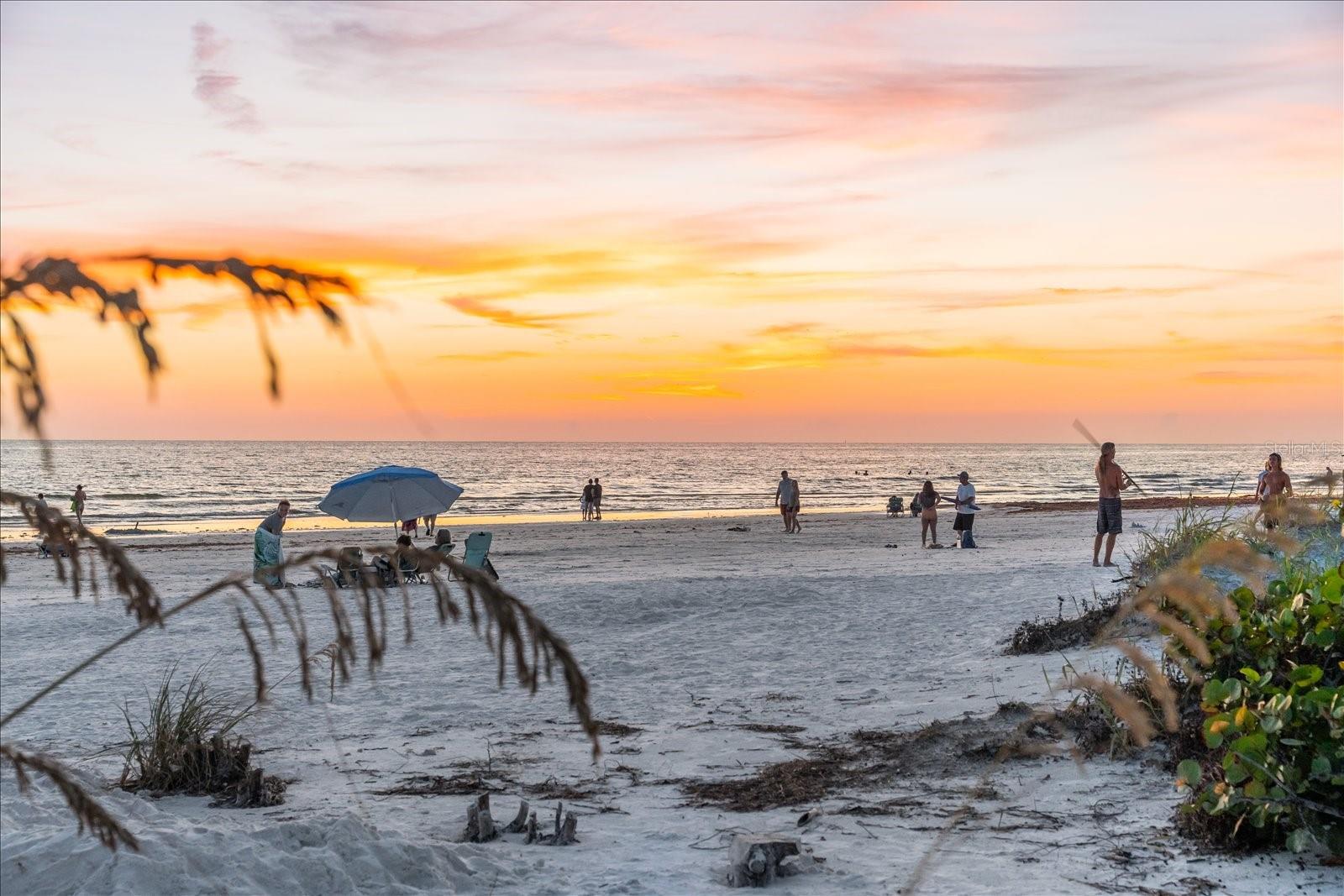 Image 92 of 99 For 6451 Elmwood Avenue H