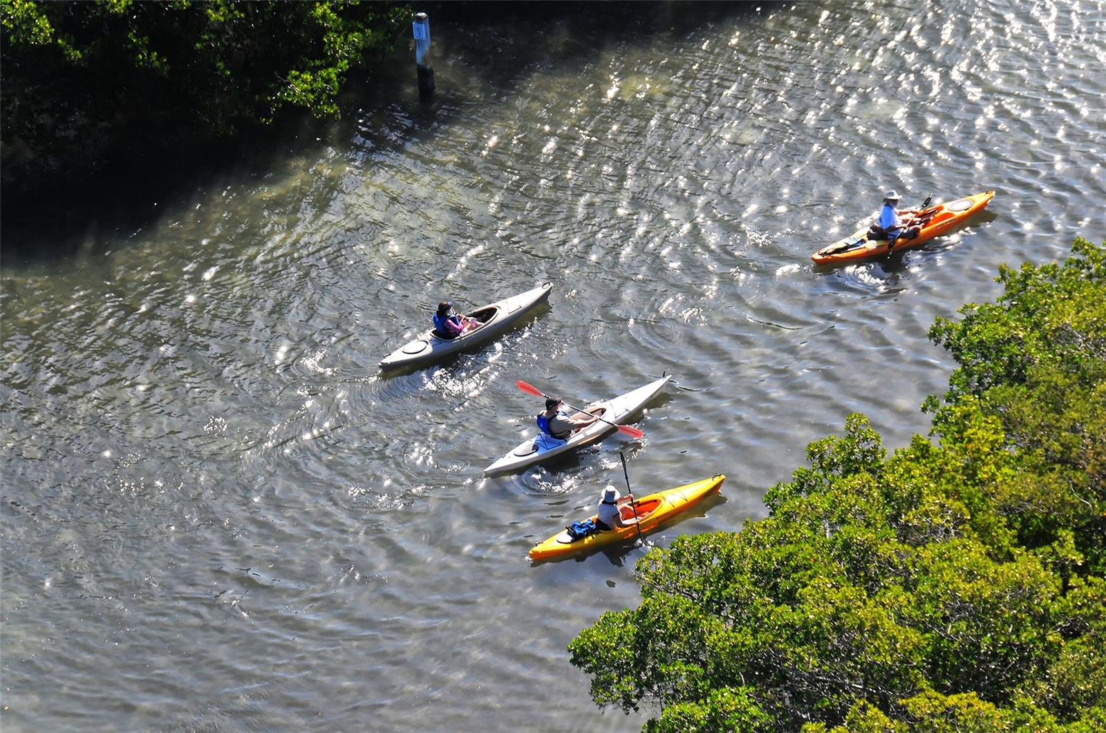 Image 49 of 53 For 5260 Heron Way 202