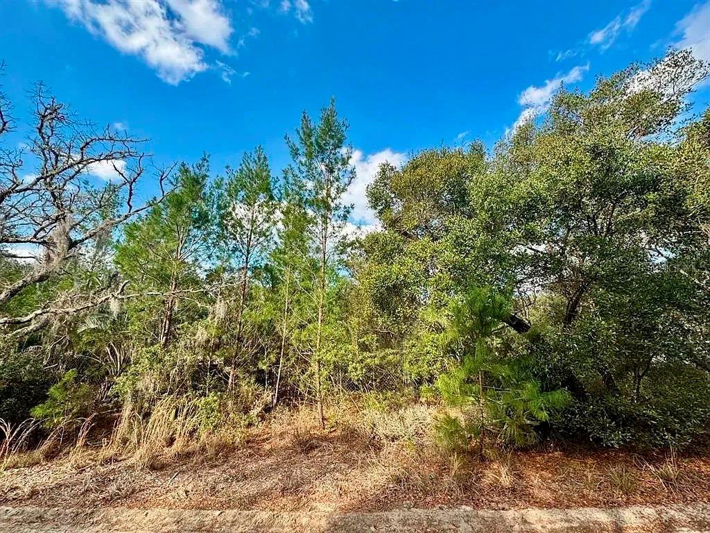 Details for Tbd 239th Place, FORT MC COY, FL 32134