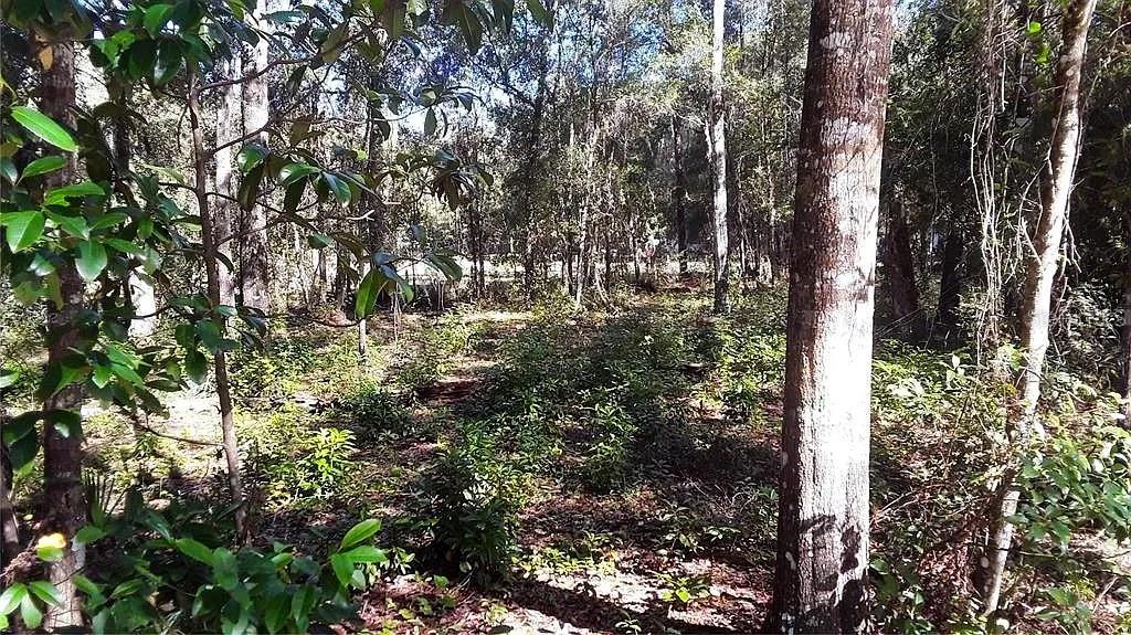 Image 2 of 6 For Tbd 239th Place