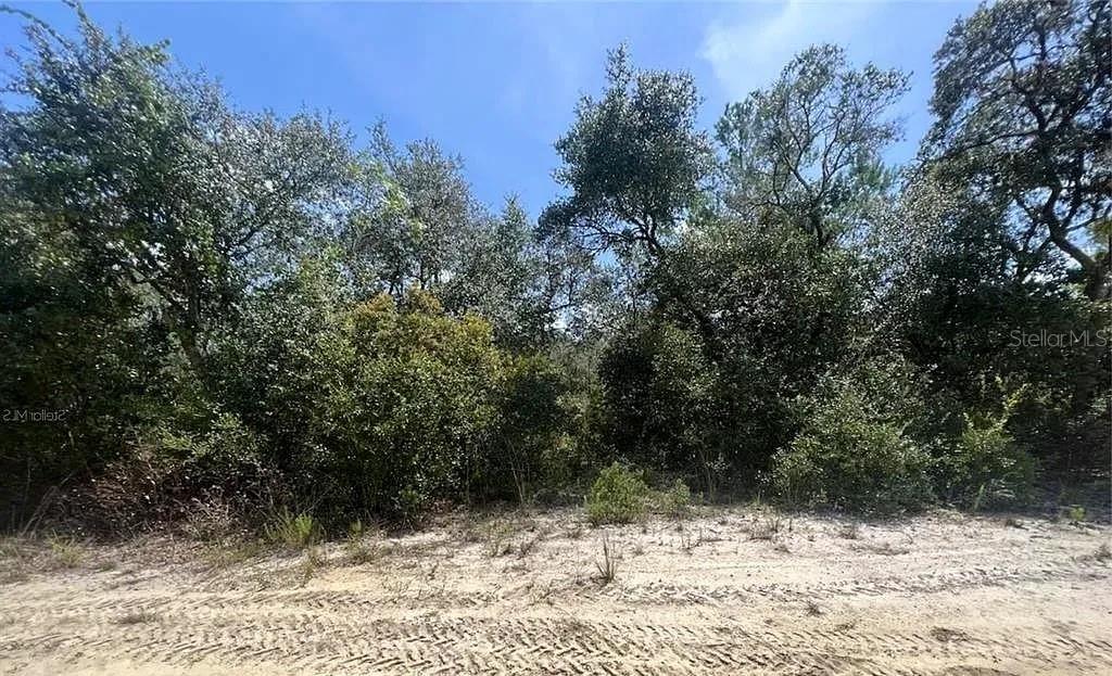 Image 3 of 6 For Tbd 239th Place