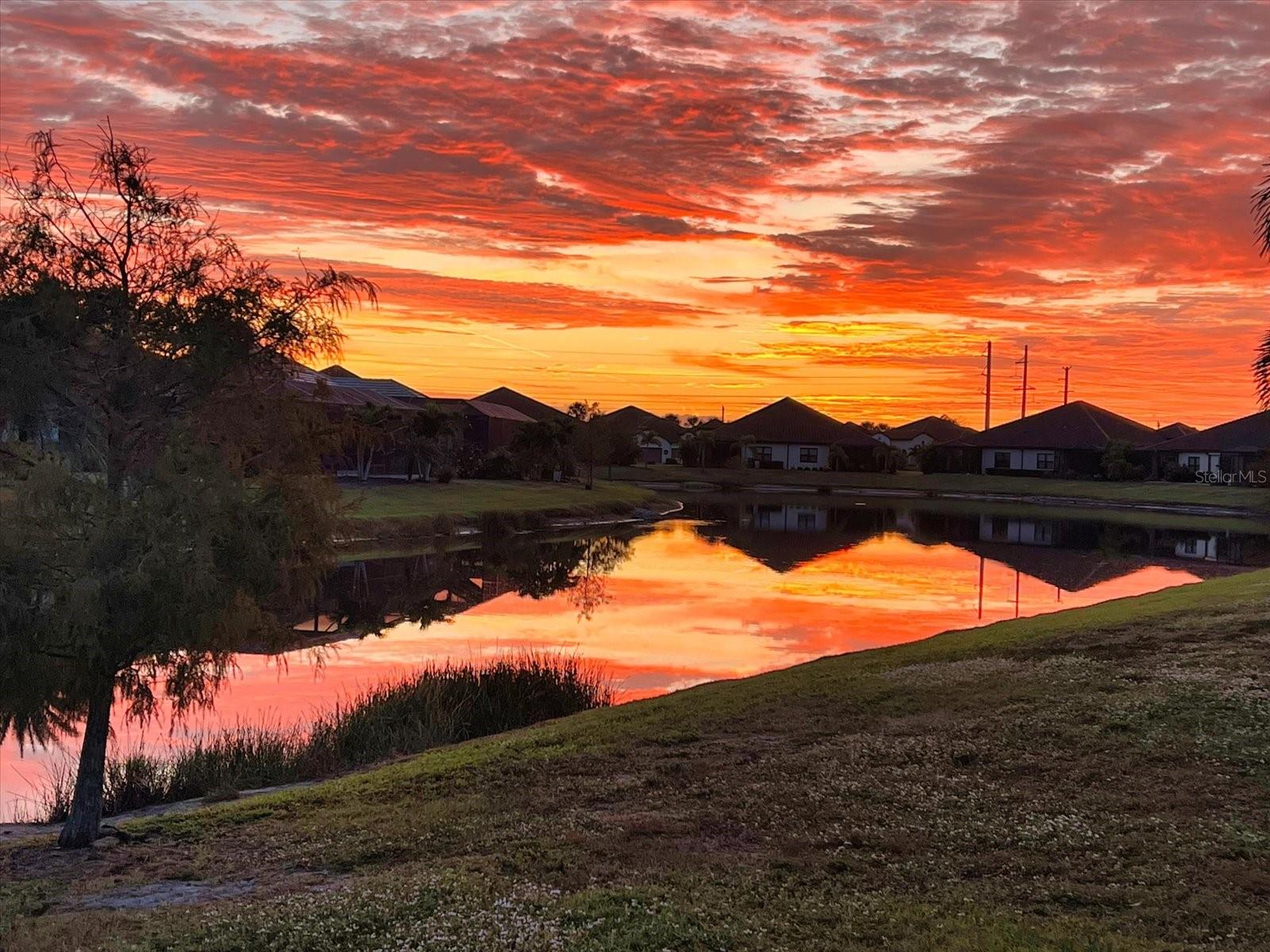 Image 42 of 70 For 11120 Mcdermott Court