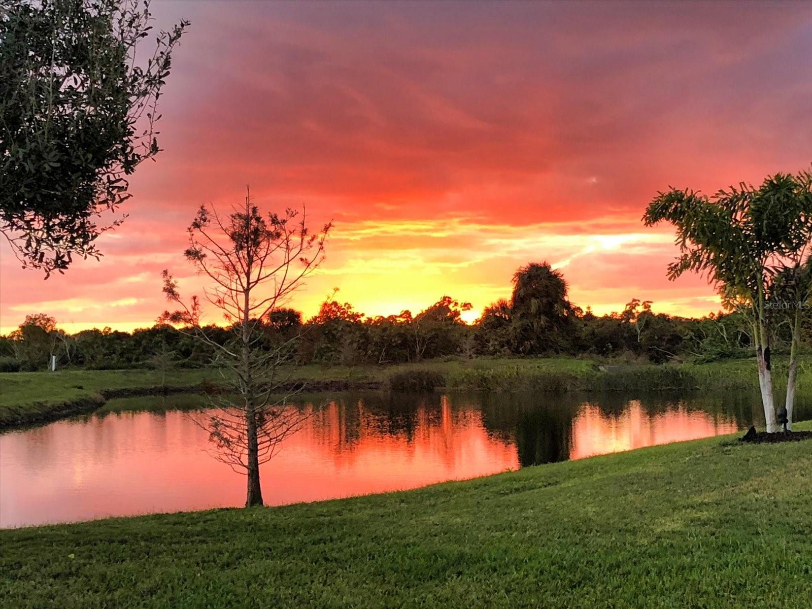 Image 43 of 70 For 11120 Mcdermott Court