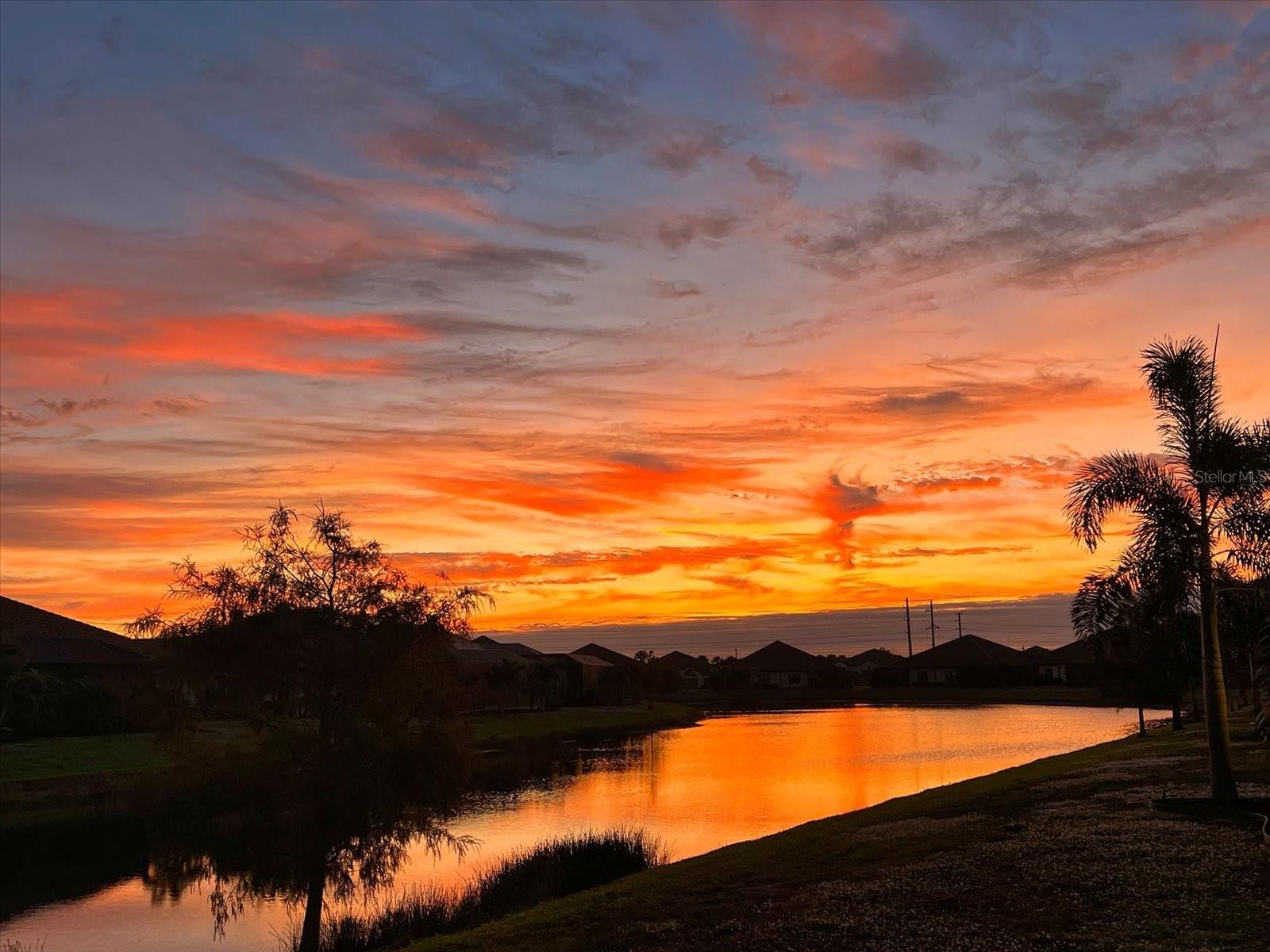 Image 44 of 70 For 11120 Mcdermott Court