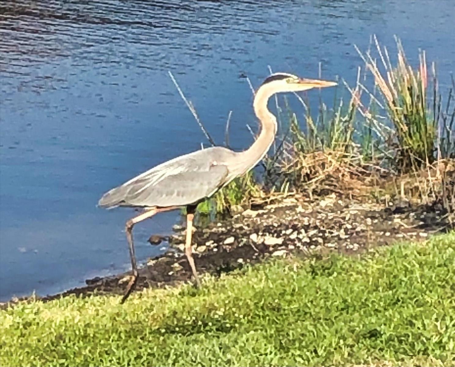 Image 47 of 70 For 11120 Mcdermott Court