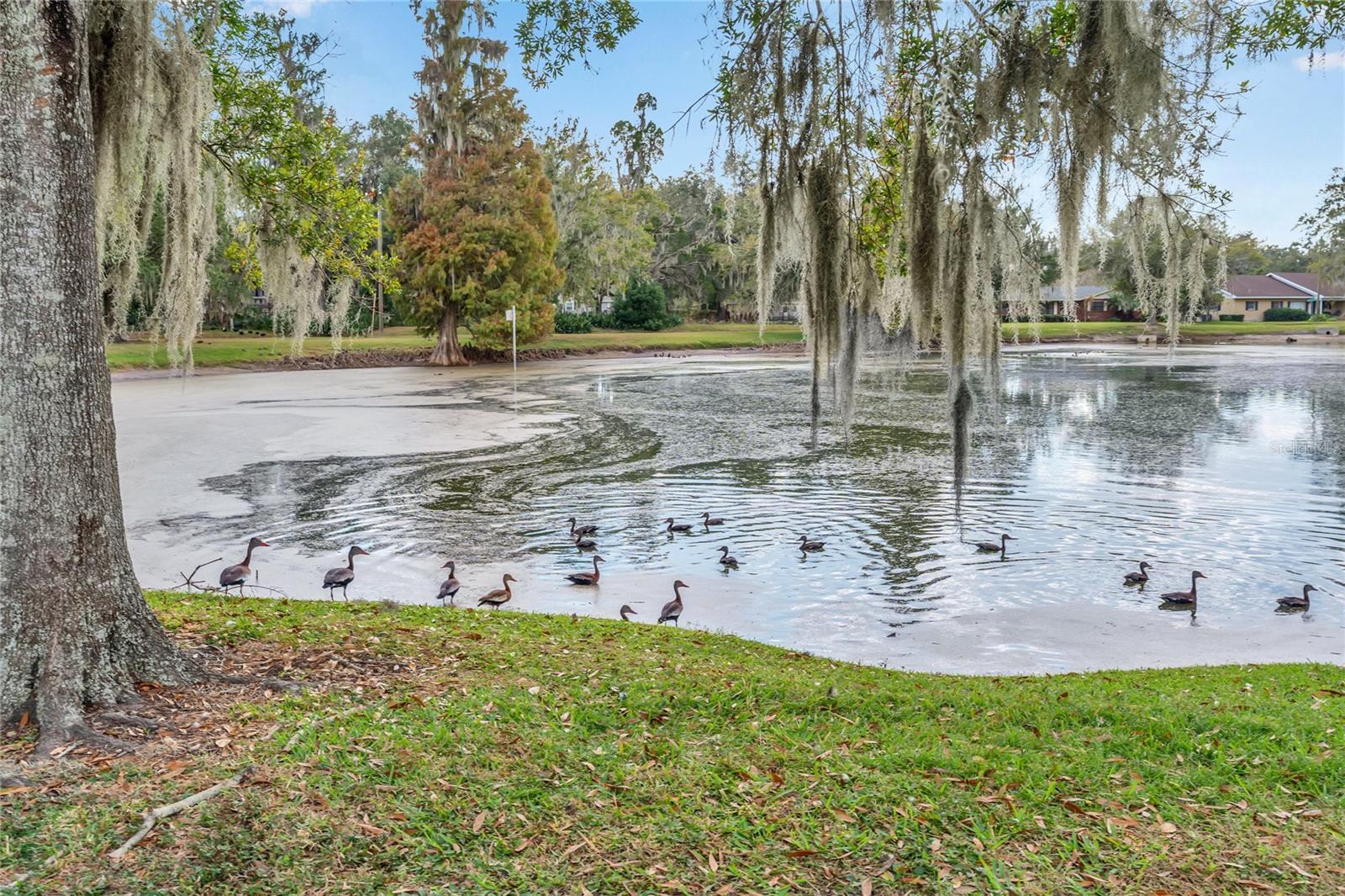 Image 51 of 59 For 1950 El Paso Trail