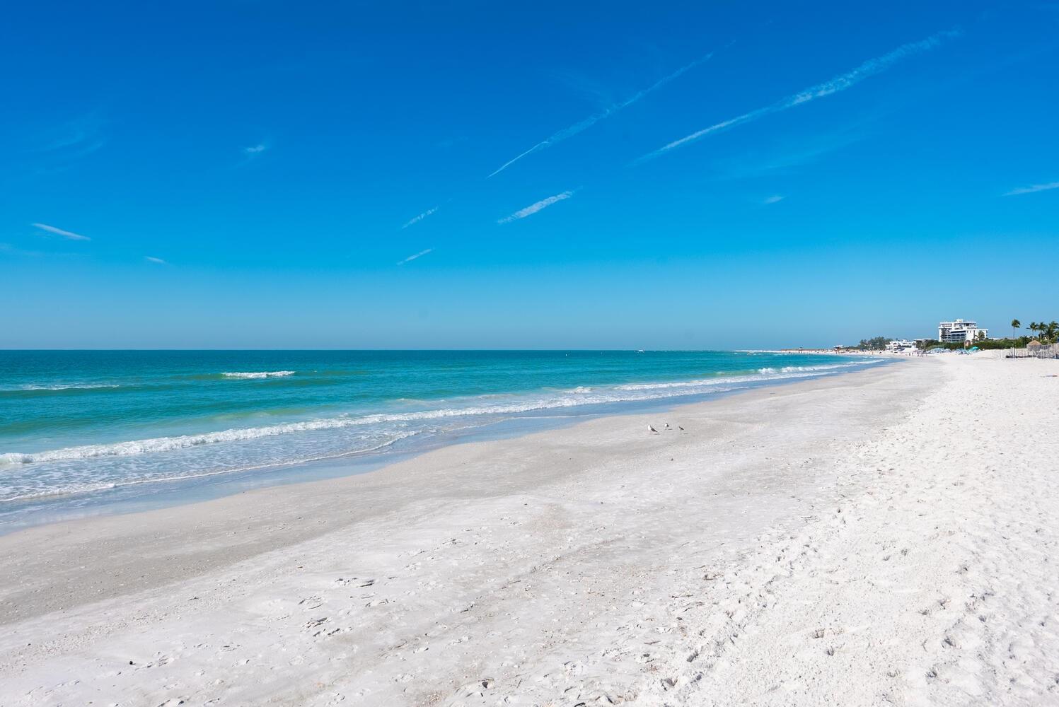 Image 38 of 44 For 1104 Benjamin Franklin Drive 515