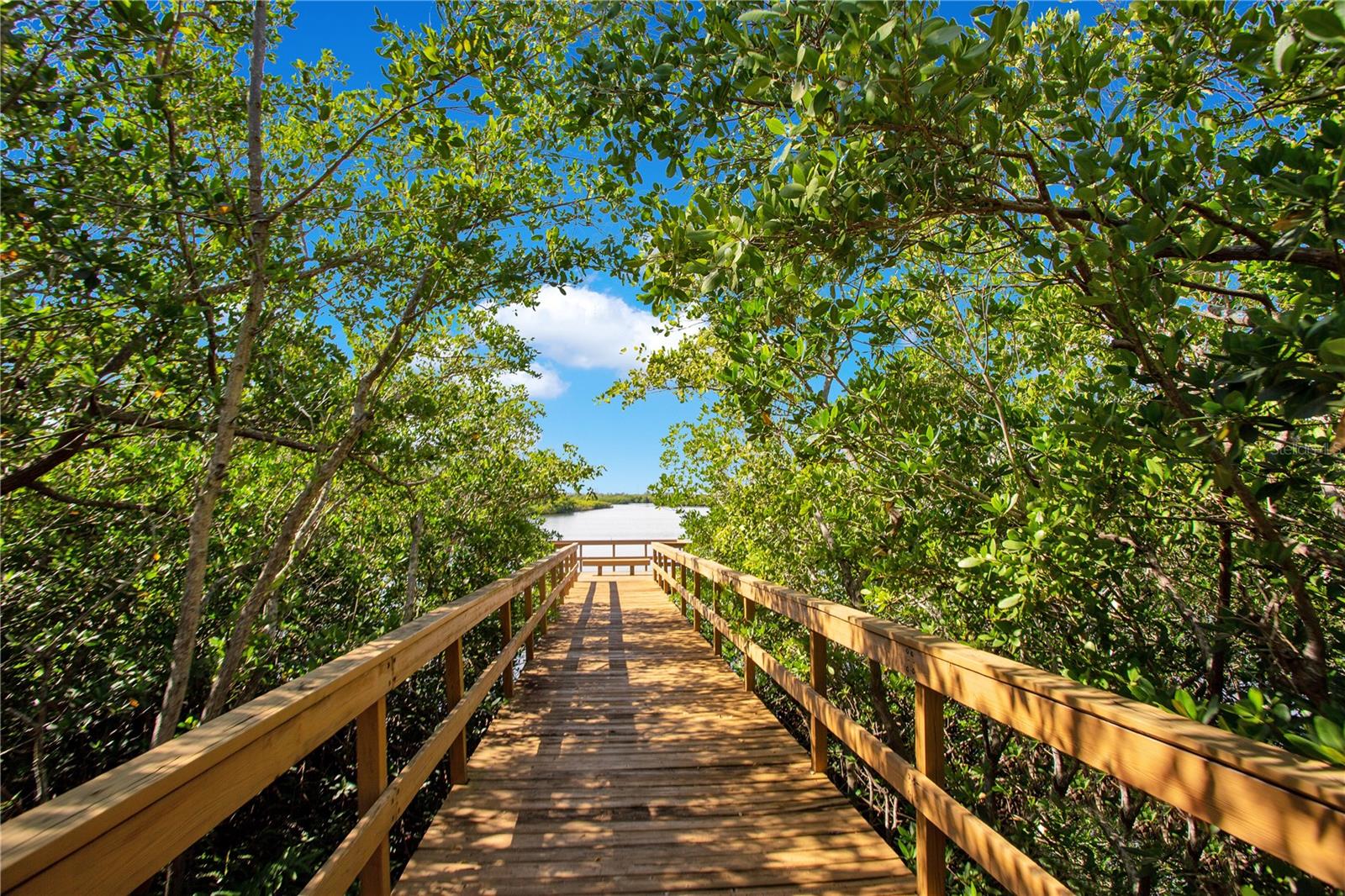 Image 36 of 46 For 730 Foggy Morn Lane