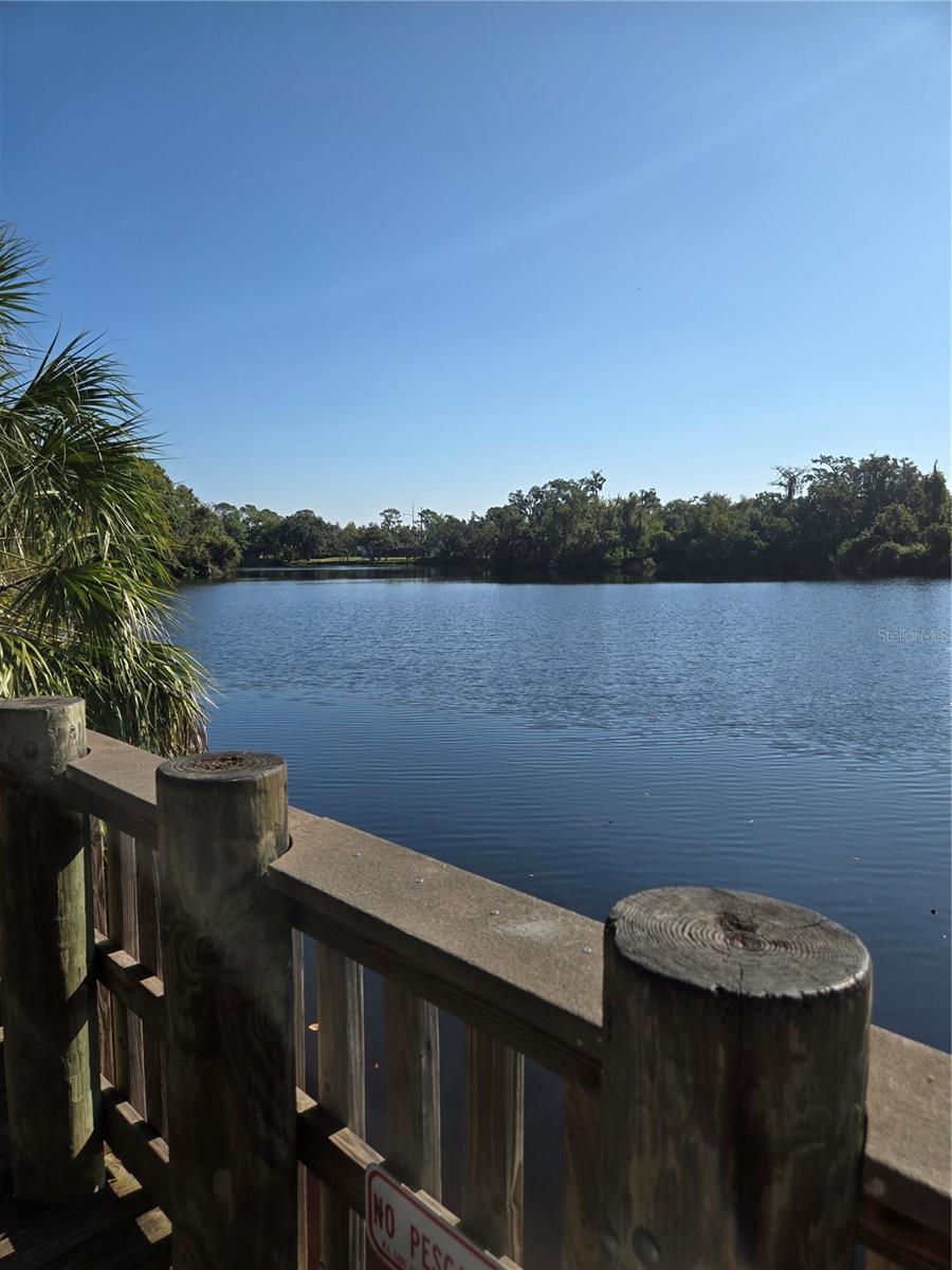 Image 44 of 64 For 8010 Conservatory Drive