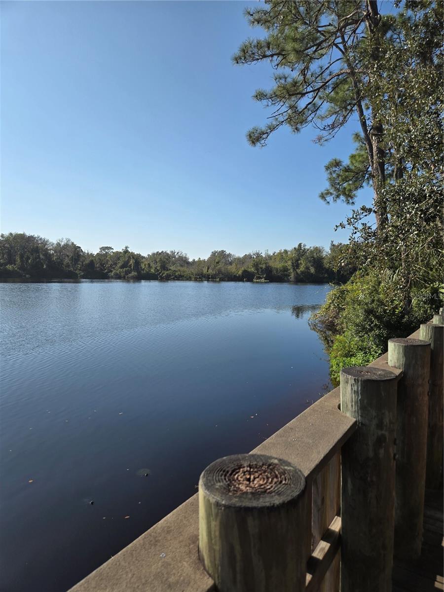 Image 45 of 64 For 8010 Conservatory Drive