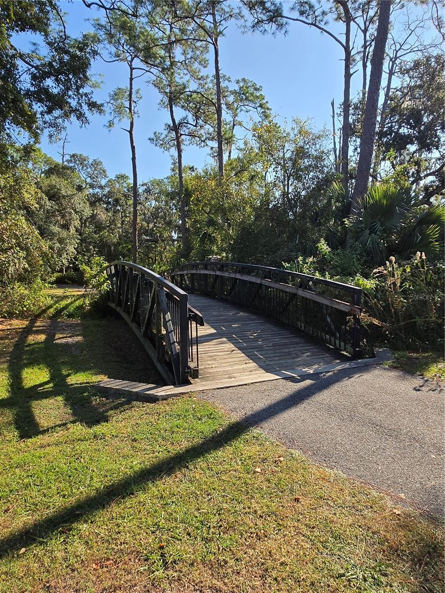 Image 48 of 64 For 8010 Conservatory Drive