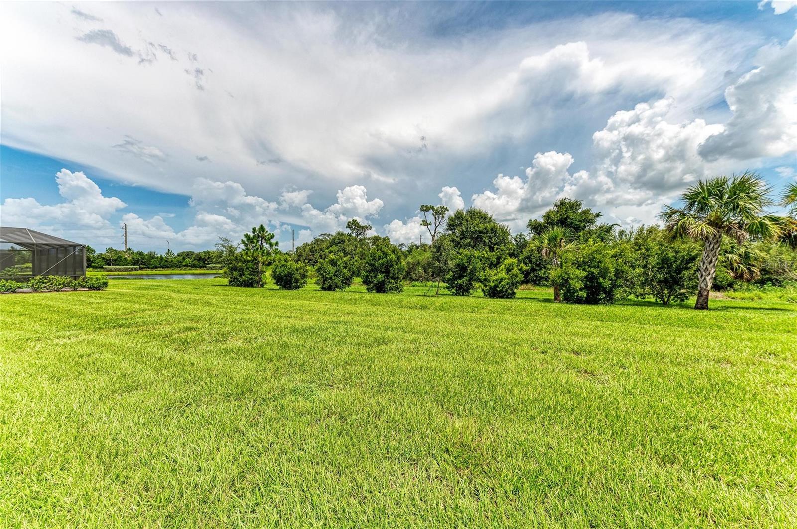 Image 56 of 83 For 2802 Butterfly Jasmine Trail