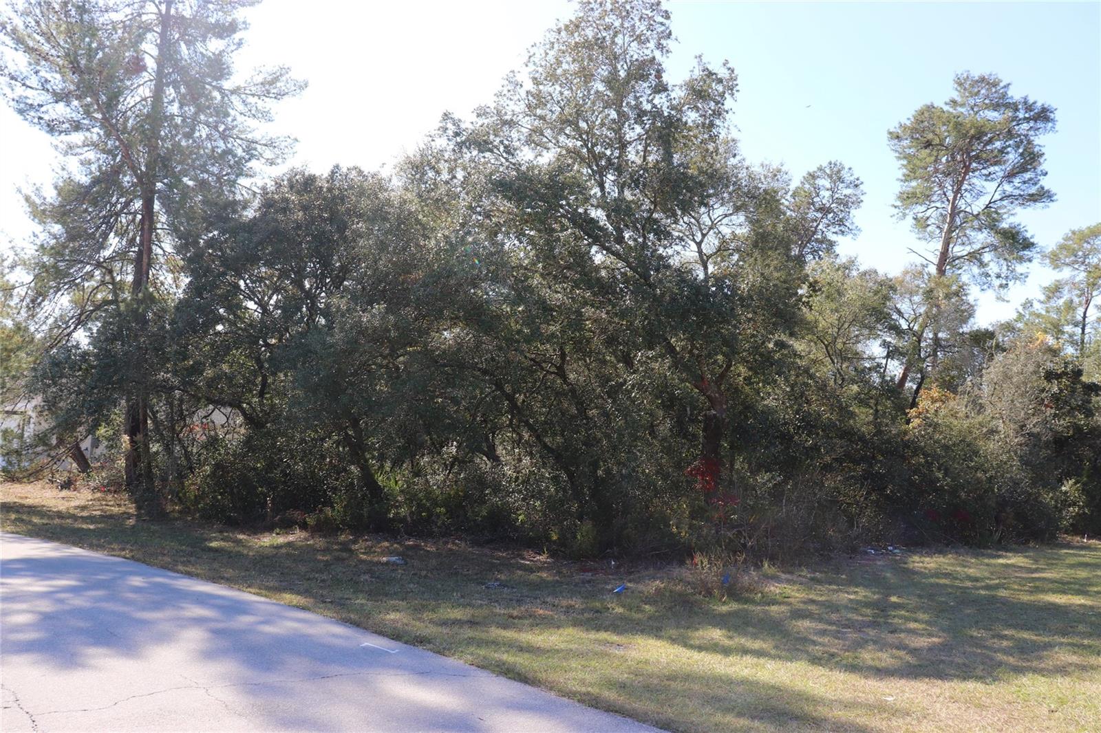 Details for Tbd Marion Oaks Golf Road, OCALA, FL 34473